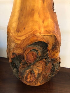 Sensational Organic Pair of Knotty Sculptural Wood Table Lamps