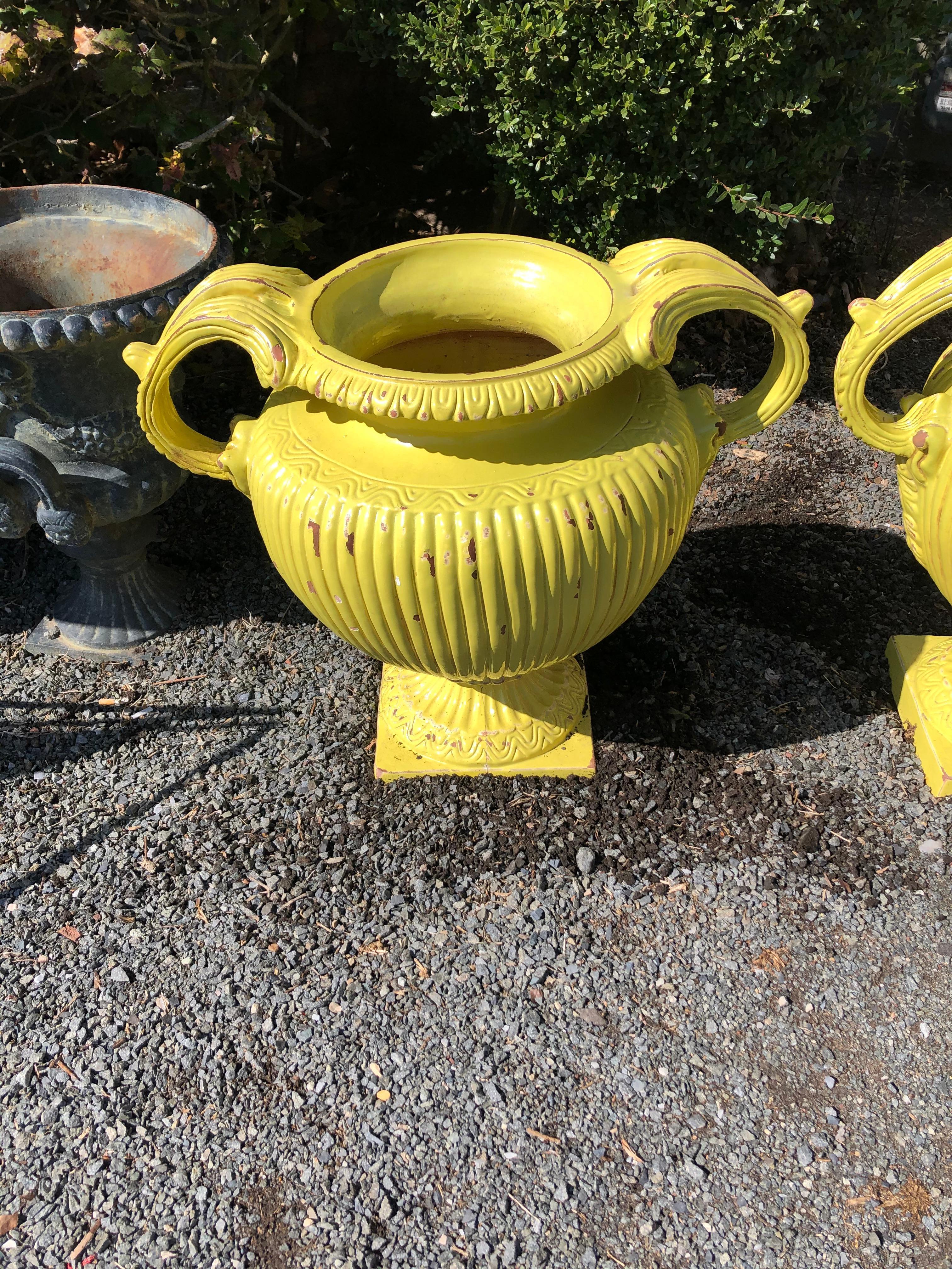 An eye poppingly chic pair of large heavy Italian vintage ceramic urn planters having neoclassical style, big curvy handles, and fantastic shade of sunny yellow. You won't see these at your neighbor's house!
Opening is 8.5 diameter
urn is 18