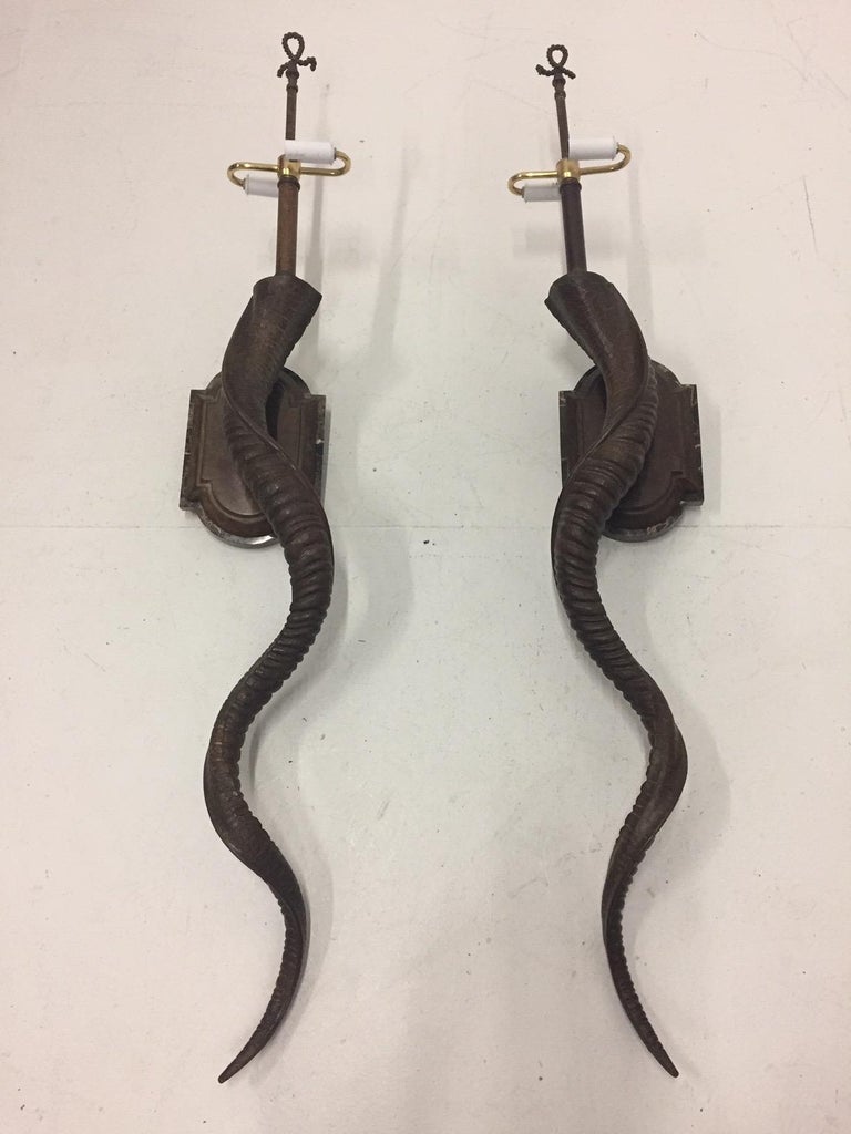 Sensational Pair of Very Tall Elongated Faux Horn Wall Sconces For Sale
