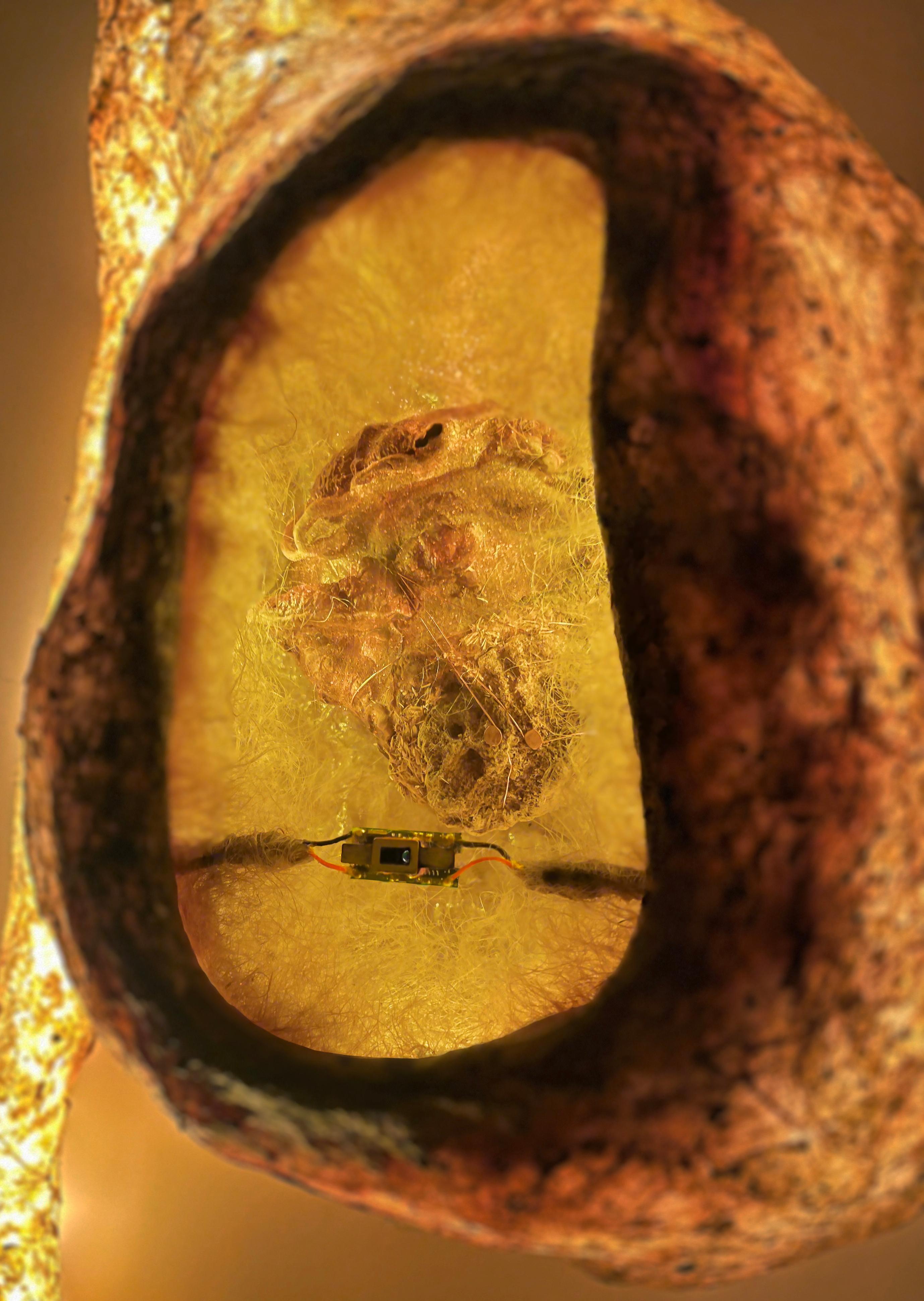 Moderno Lampada da parete Sensorium in vendita