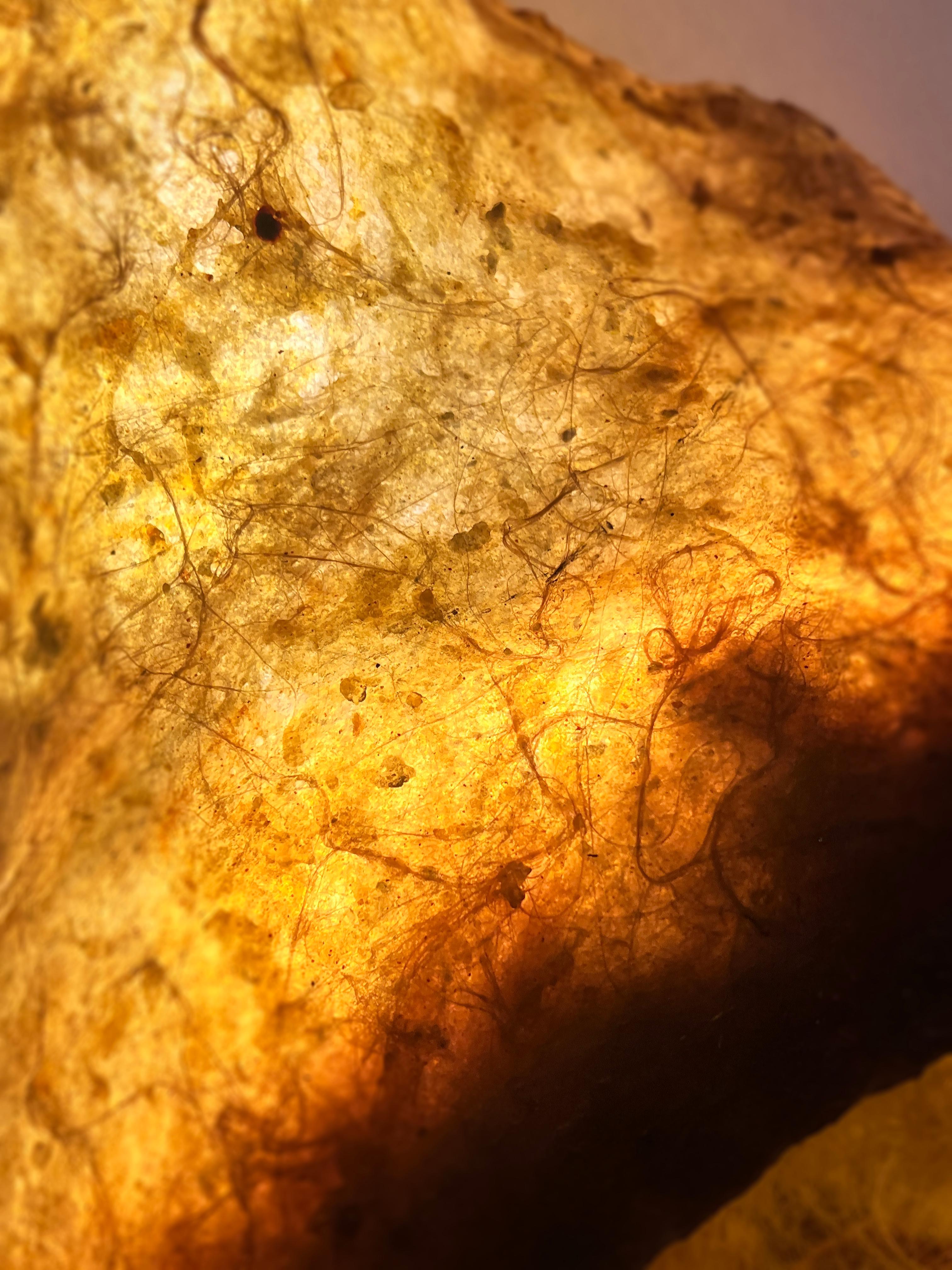 Lampada da parete Sensorium in vendita 3