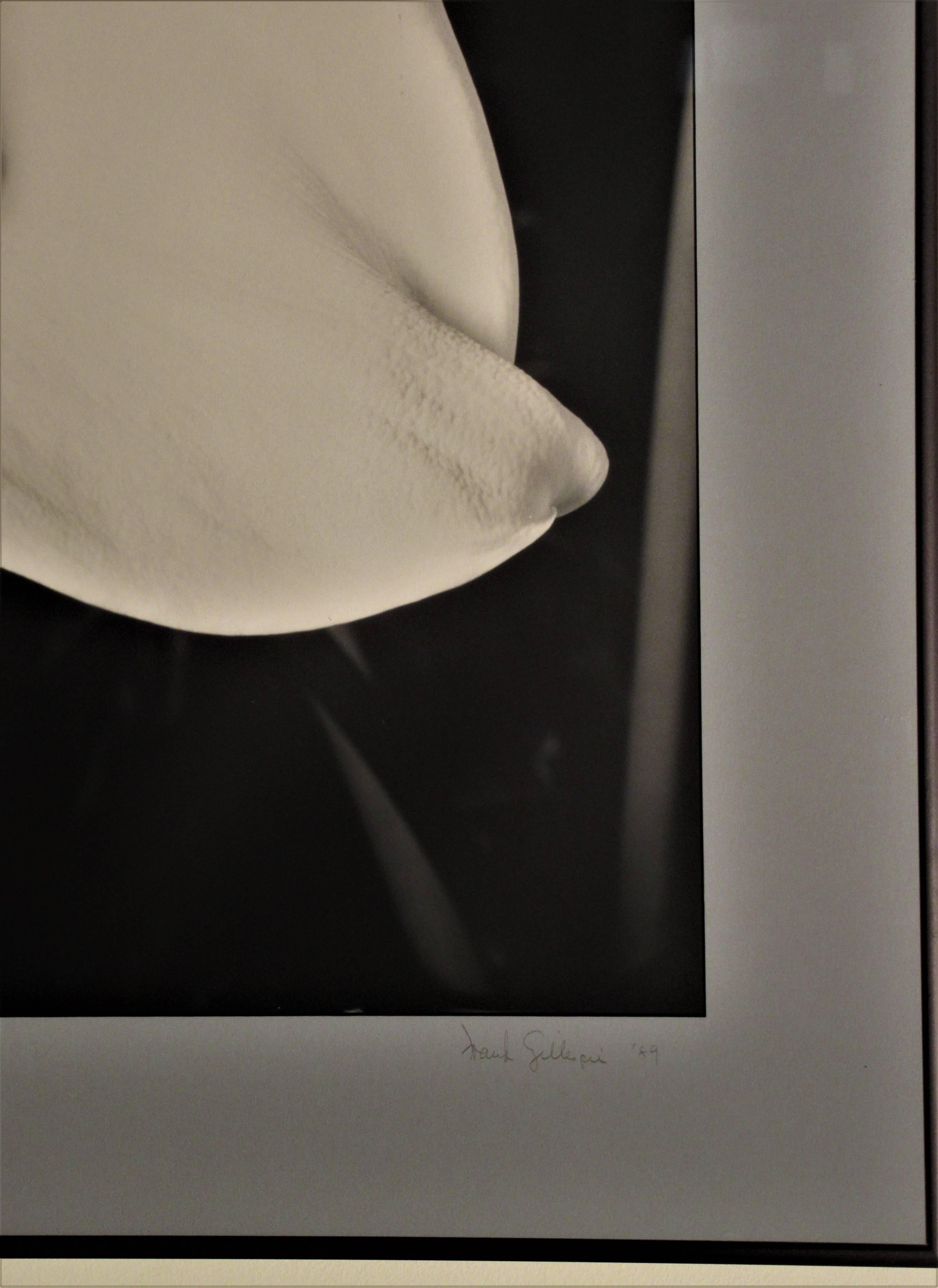 20th Century Flower Photograph in the Style of Edward Steichen For Sale