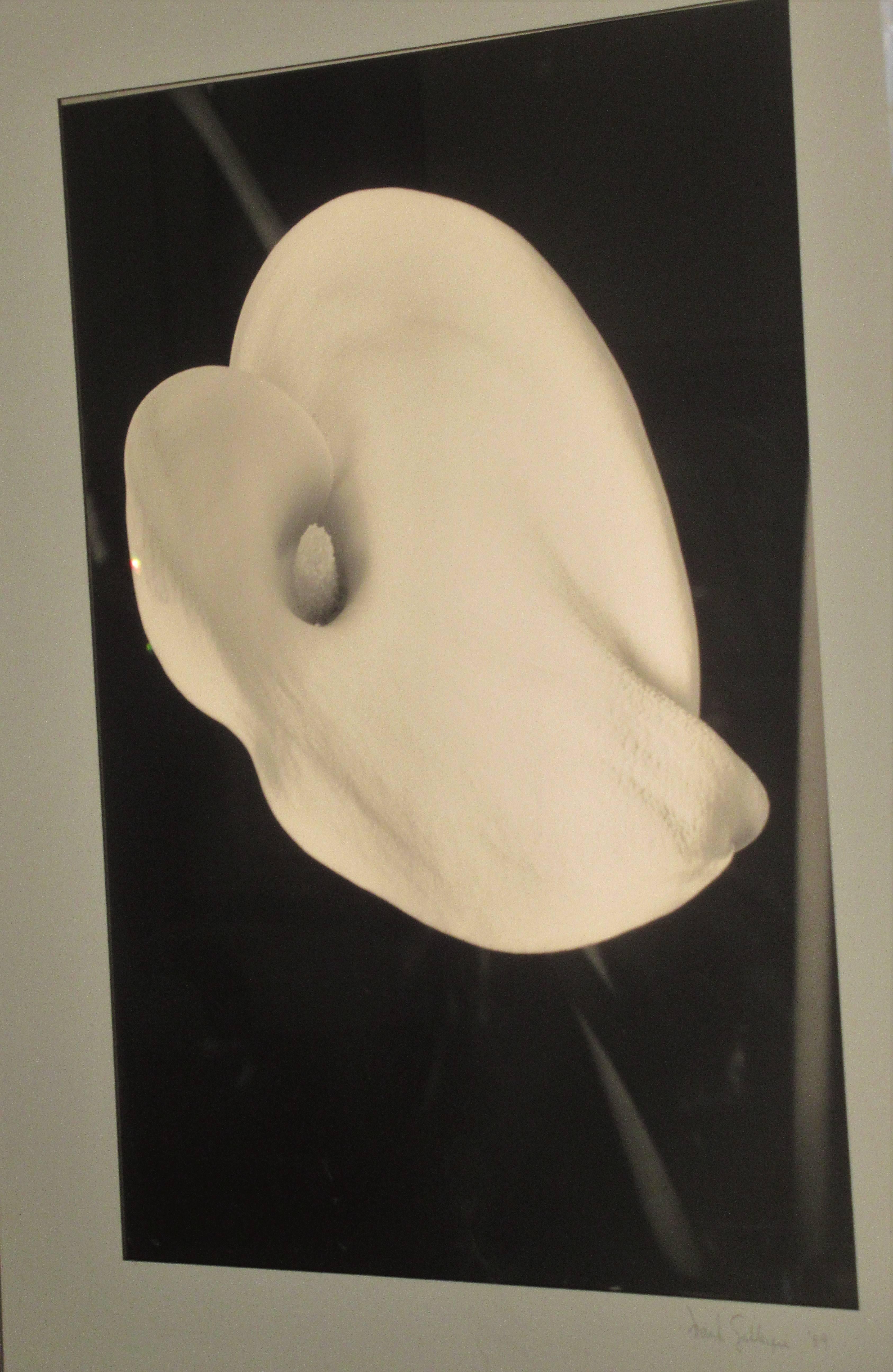 Glass Flower Photograph in the Style of Edward Steichen For Sale