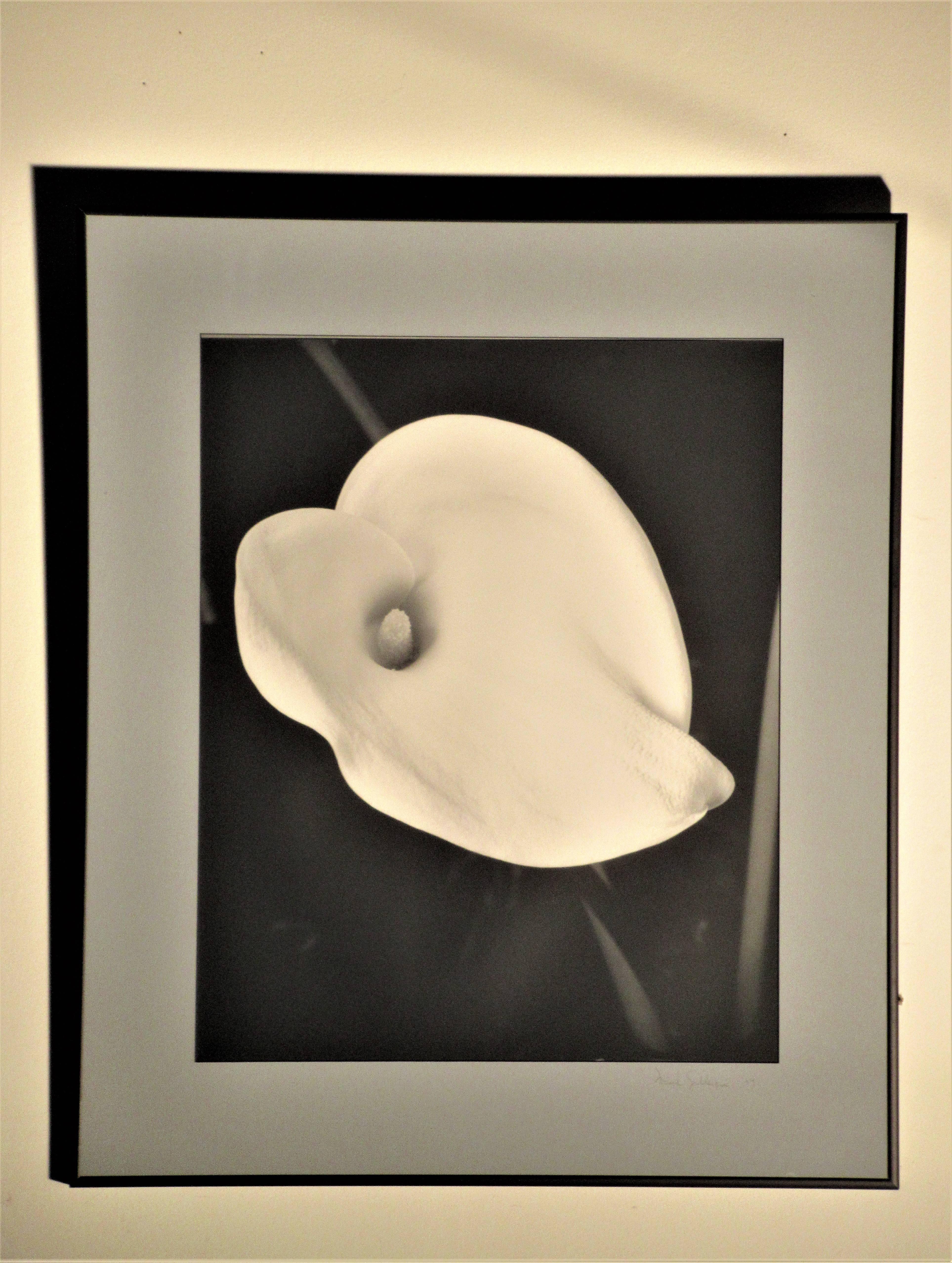 Flower Photograph in the Style of Edward Steichen For Sale 1
