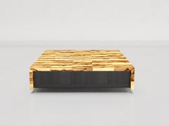 Senza Fine coffee table in Black antieris wood and Black Ash wood