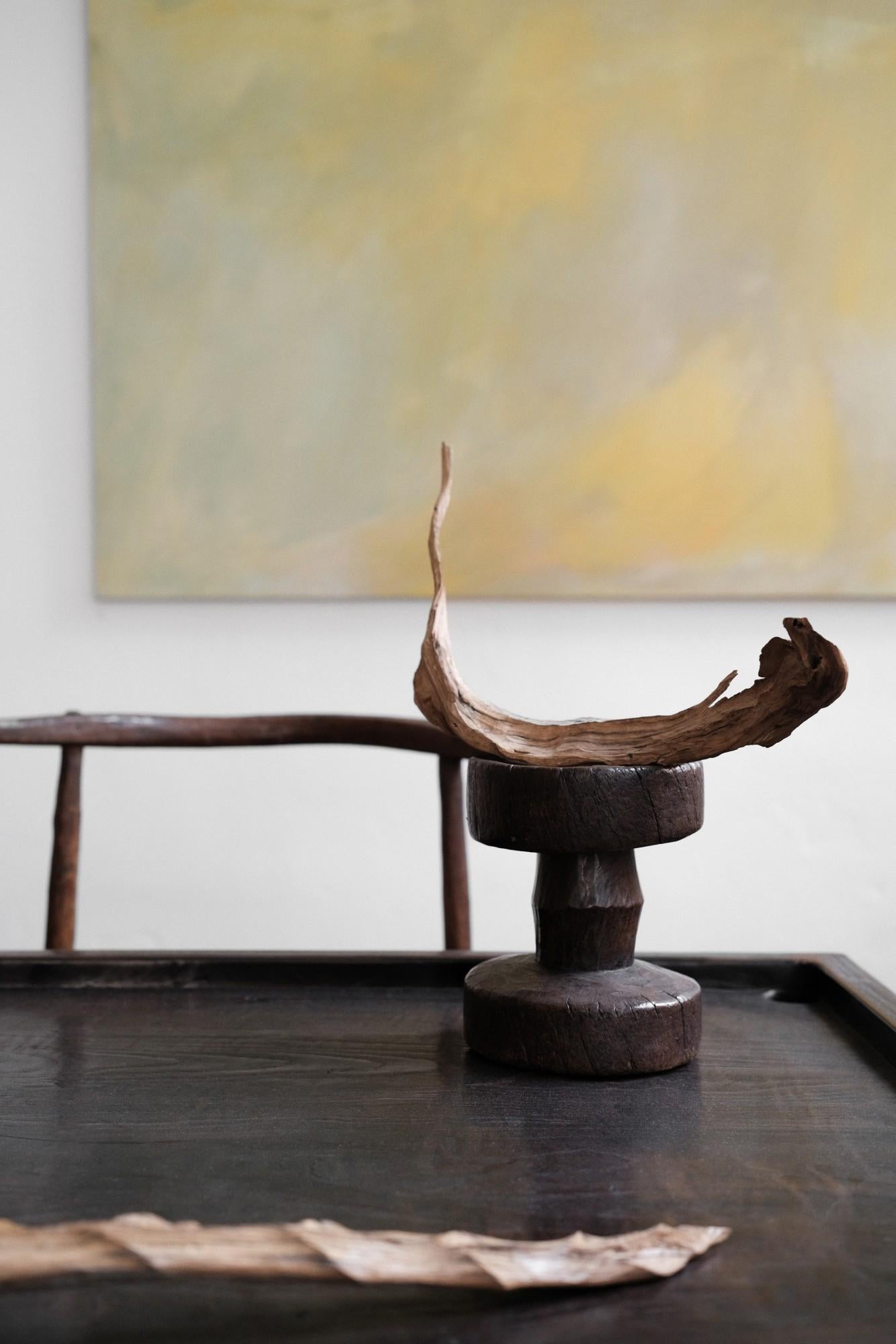 Delicata scultura in legno di piccole dimensioni, a forma di foglia curva, 2024 - 