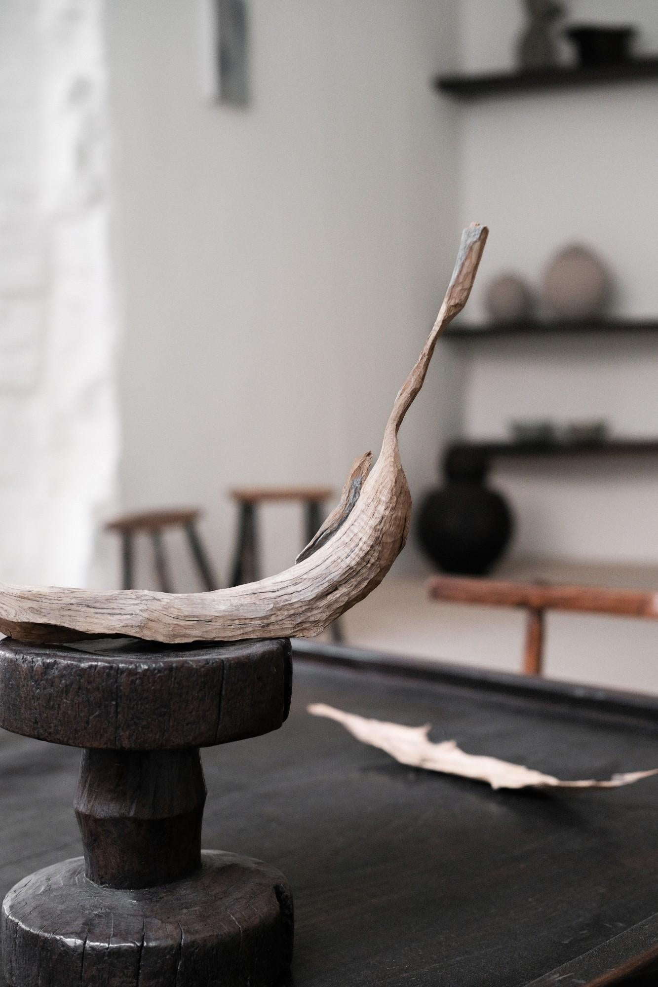 Delicata scultura in legno di piccole dimensioni, a forma di foglia curva, 2024 - 