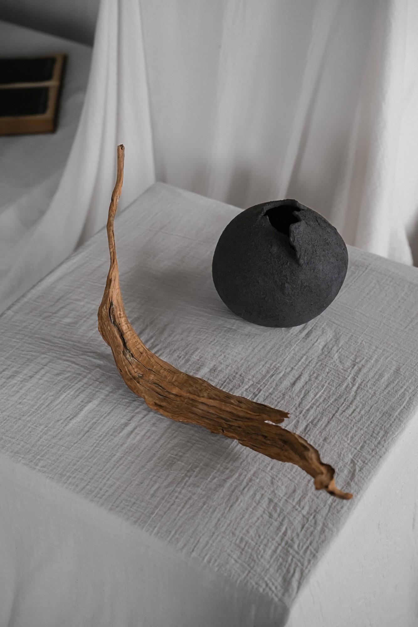 Delicata scultura in legno di piccole dimensioni, a forma di foglia curva, 2024 - "Feuille courbée - Sculpture di Sepa