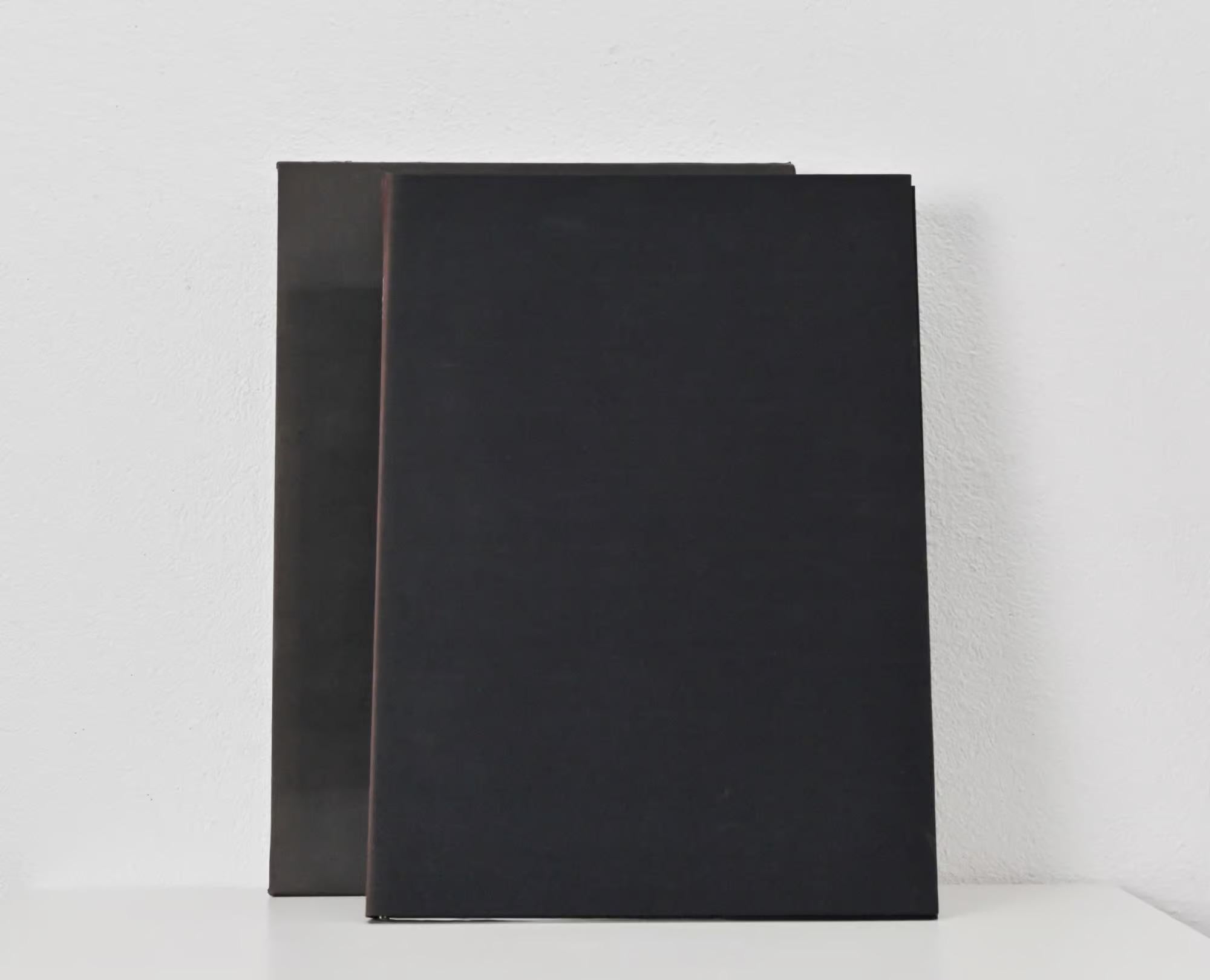 Ossip Zadkine (1890-1967) 
Guillaume Apollinaire, Sept Calligrammes, Christophe Czwiklitzer, Paris 1967
le portfolio complet comprenant dix eaux-fortes et une suite supplémentaire, avec le titre, le texte et la justification, livre illustré, en vrac