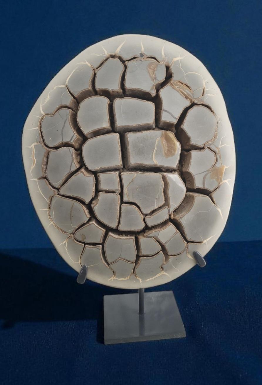 This natural specimen of septaria nodule cut in half show a nice aesthetic.

It weighs 6,6 kg alone, and 8,3 kg with it's stand.
It's dimensions are 35,5cm on 30cm without the stand.

Stand was custom made for it.