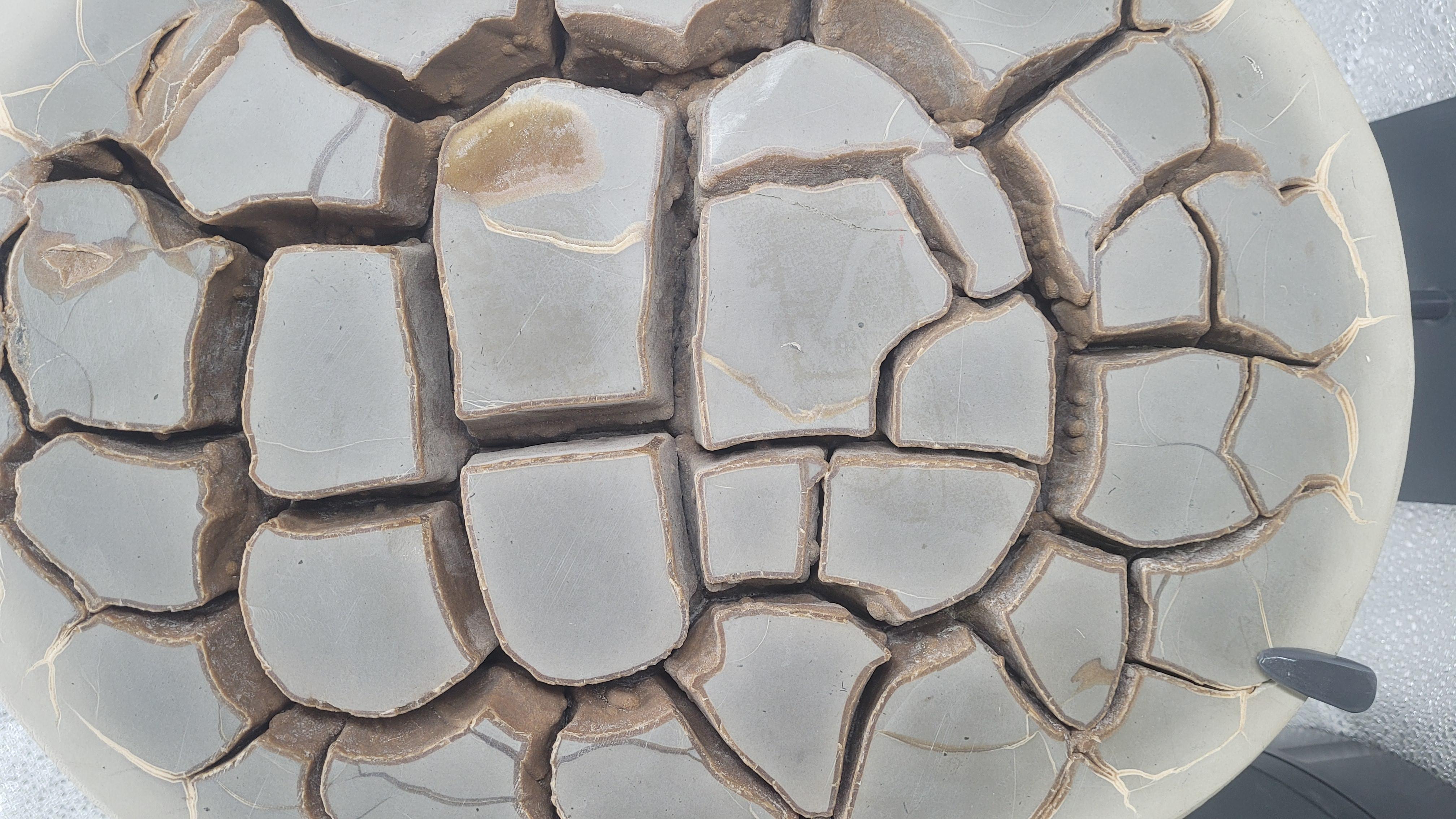 Septaria nodule on custom stand In New Condition For Sale In MARSEILLE, FR