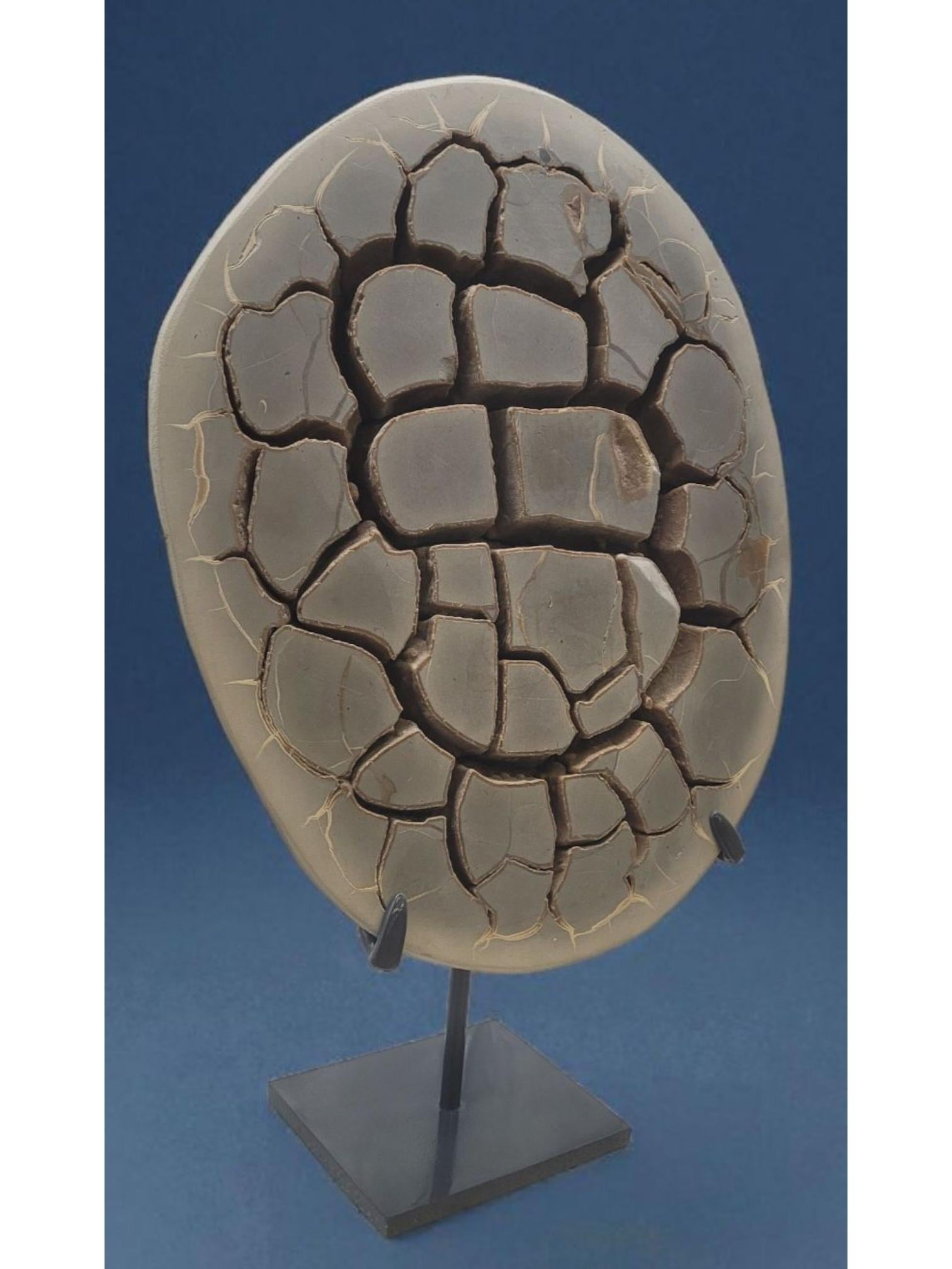 Contemporary Septaria nodule on custom stand For Sale