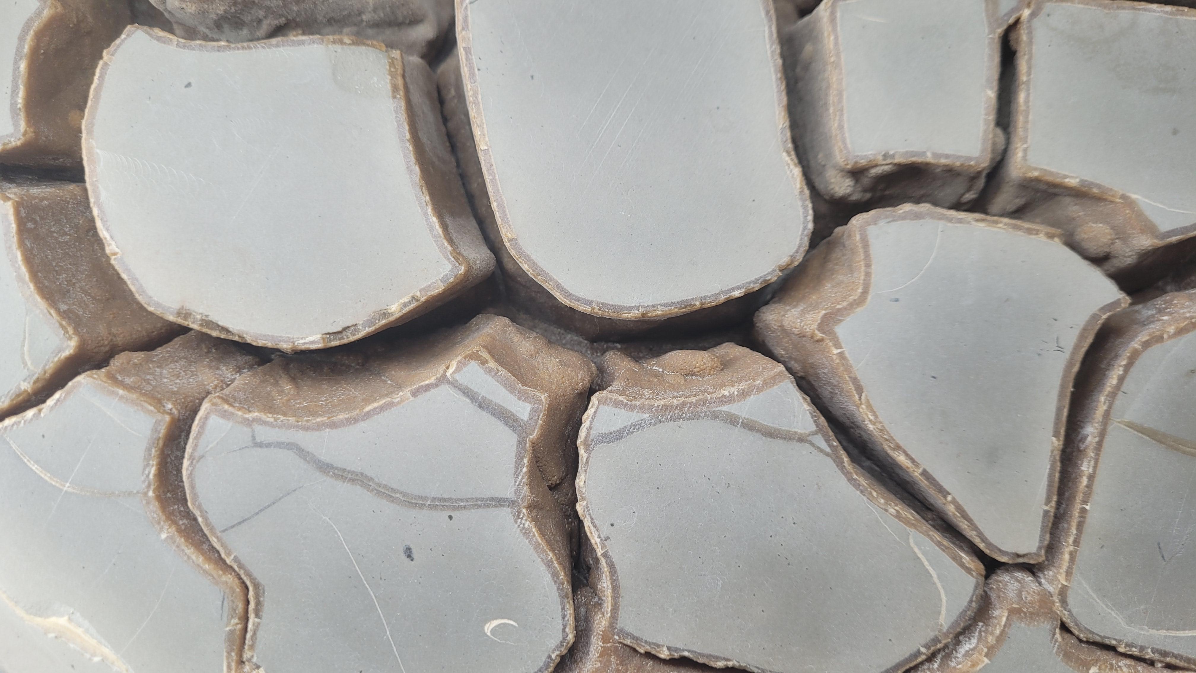 Stone Septaria nodule on custom stand For Sale