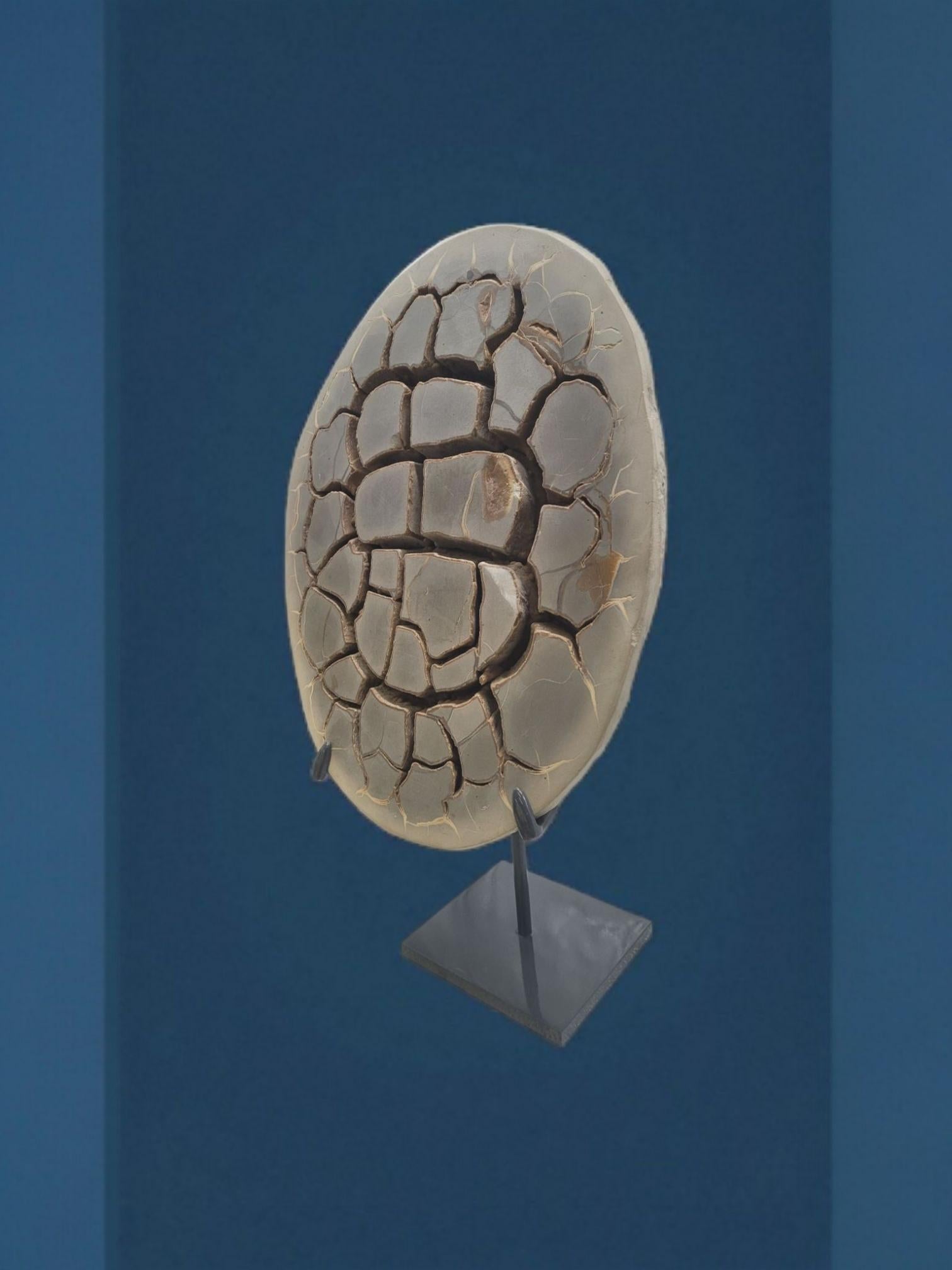 Septaria nodule on custom stand For Sale 1