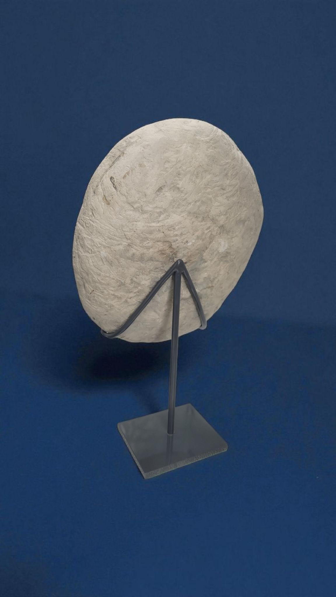 Septaria nodule on custom stand For Sale 2