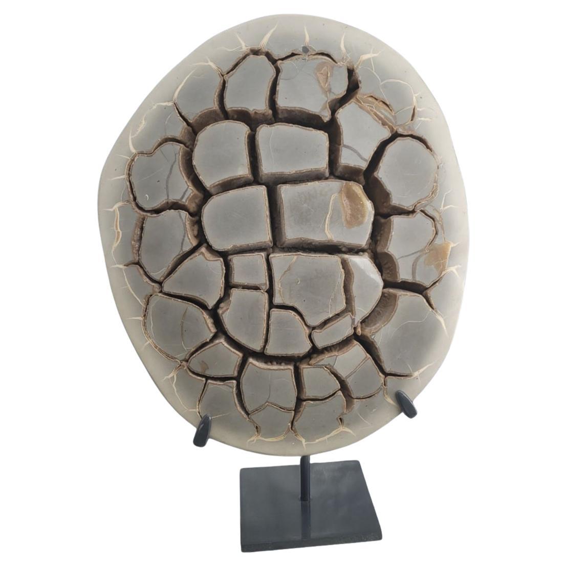 Septaria nodule on custom stand For Sale