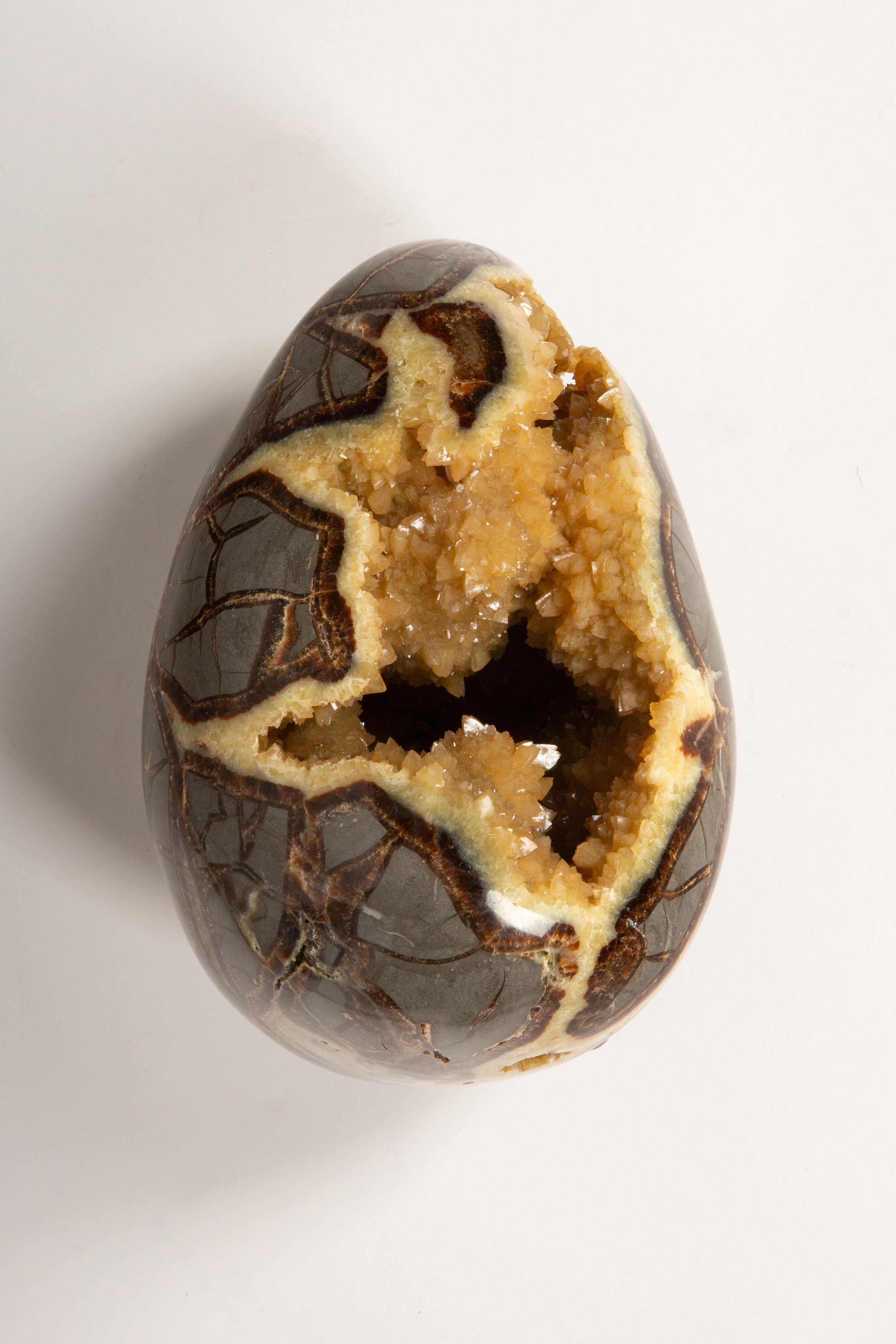 Este impresionante Huevo de Septario es una geoda natural formada a lo largo de millones de años por una mezcla única de minerales, como calcita, aragonito y piedra caliza. Conocidos por sus llamativos dibujos agrietados y las cálidas formaciones de