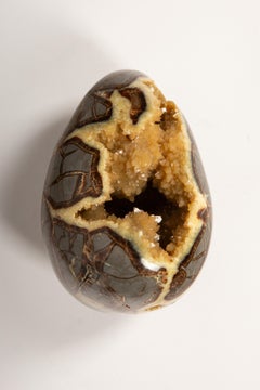 Septarian Dragon Egg: Nature’s Crystal Treasure
