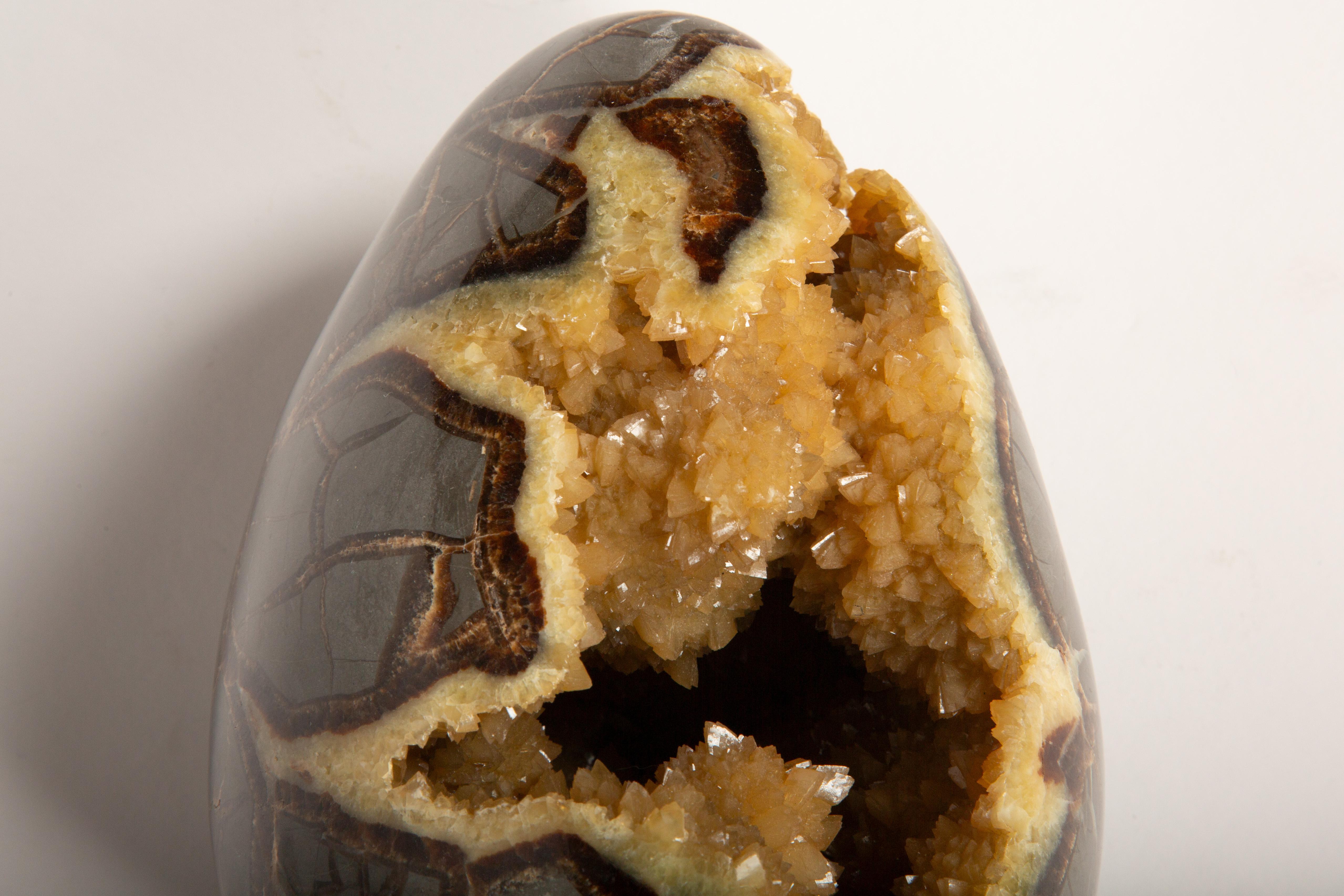 Huevo de Dragón Septariano: El Tesoro de Cristal de la Naturaleza Estadounidense en venta