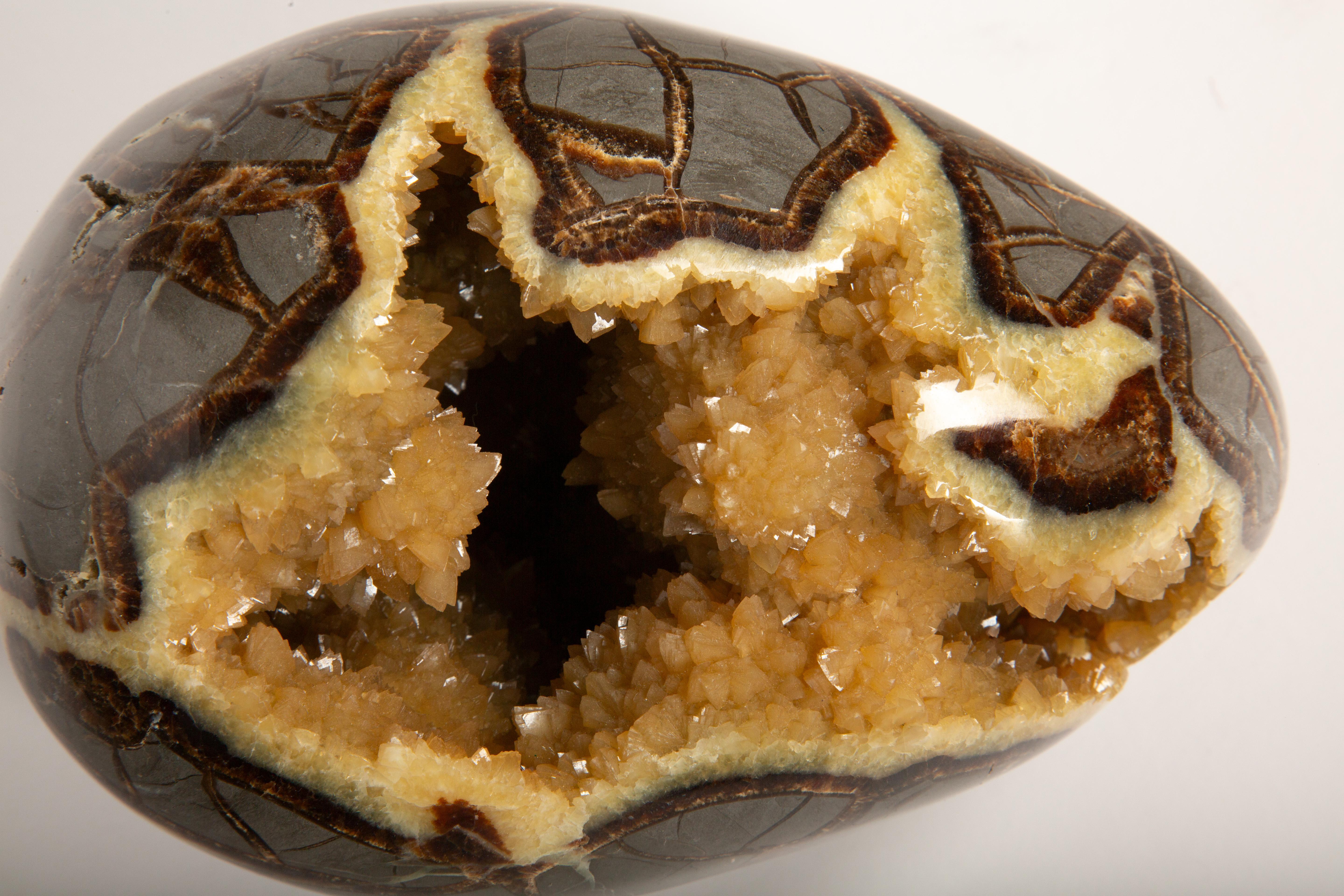 Huevo de Dragón Septariano: El Tesoro de Cristal de la Naturaleza Siglo XXI y contemporáneo en venta
