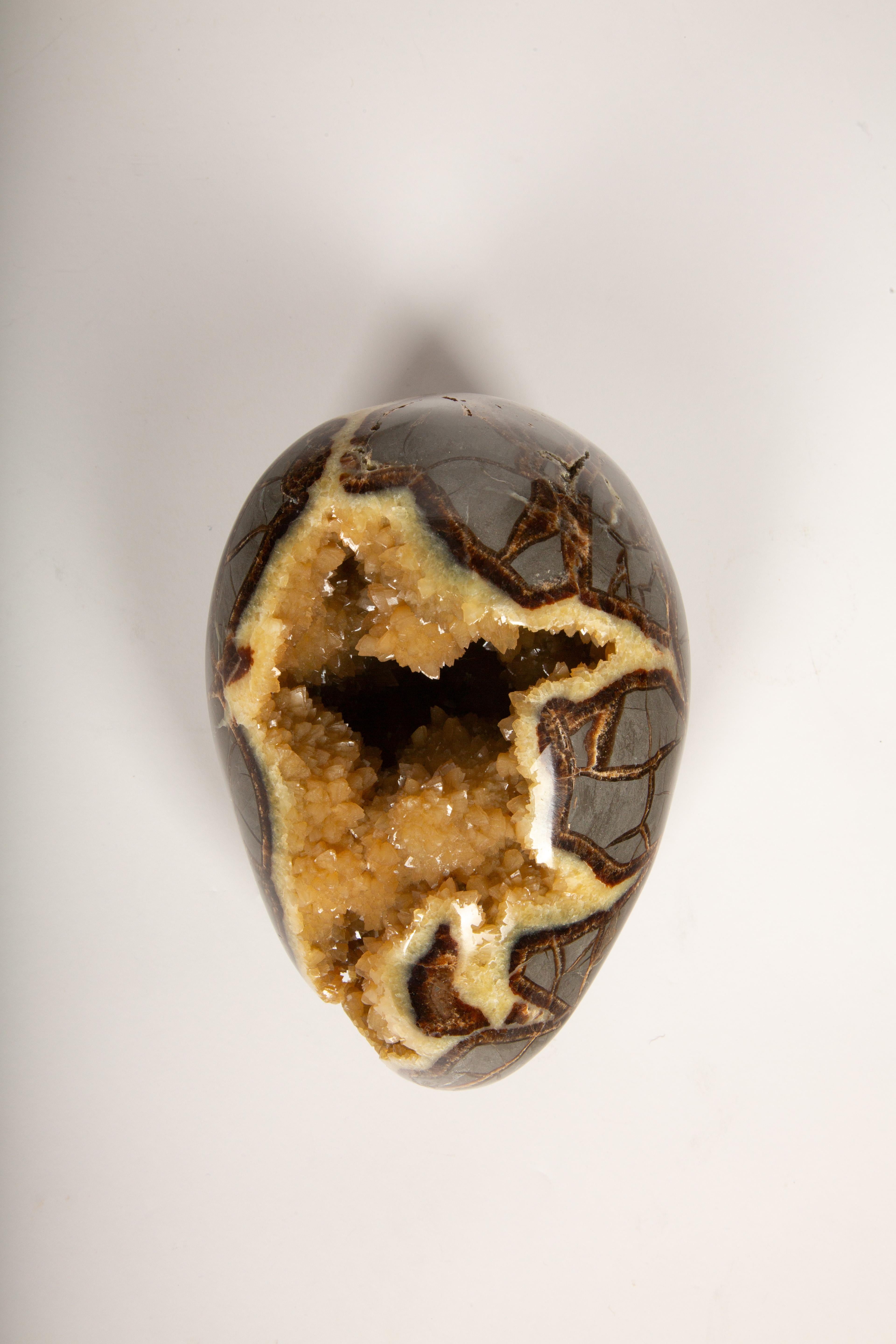 Huevo de Dragón Septariano: El Tesoro de Cristal de la Naturaleza en venta 1