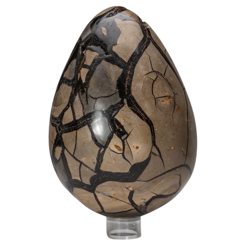 Large, AAA quality Septarian geode egg with an exposed area lined with scintillating druzy quartz crystal. The back side has been hand polished to a smooth high reflective surface.

Septarian has a very calming and nurturing energy. It brings