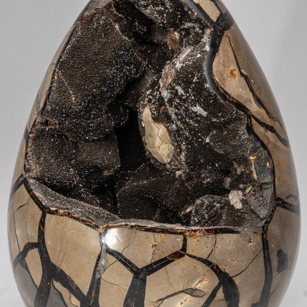 Septarian Druzy Egg from Madagascar '14.5 Lbs' For Sale 1
