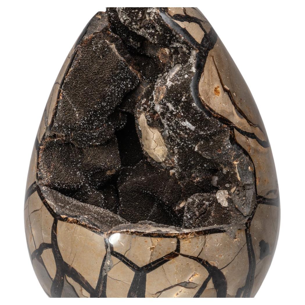 Septarian Druzy Egg from Madagascar '14.5 Lbs' For Sale