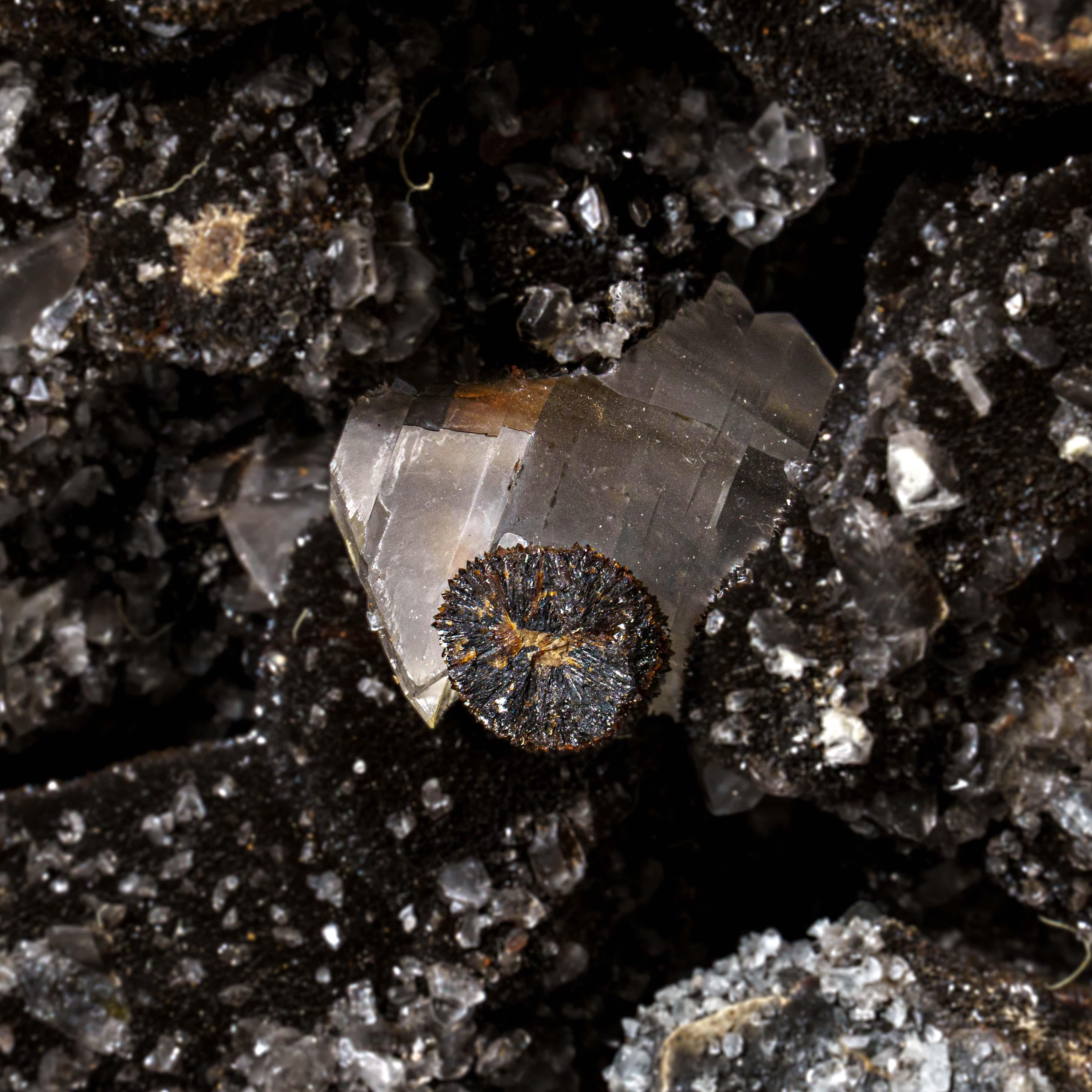 This 17.5 lbs top quality large Septarian druzy geode Egg from Madagascar features an exposed area lined with dazzling druzy quartz crystals, as well as a polished back side, providing a high reflective surface.

Septarian is a combination of yellow