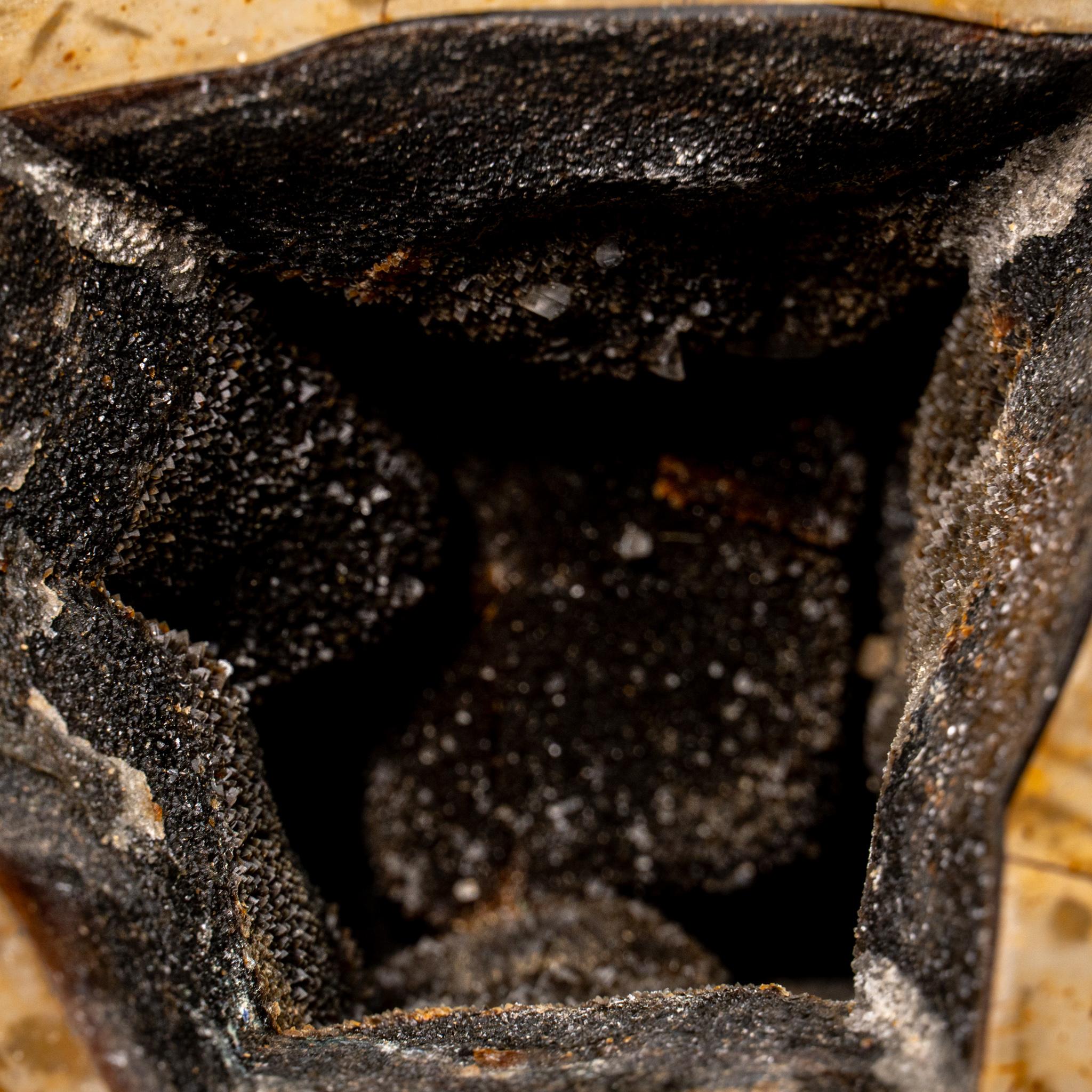 Questa sfera di geode settariano di prima qualità presenta una splendida area esposta ornata da scintillanti cristalli di quarzo druzy, mentre il suo lato posteriore è sapientemente lucidato a mano con una finitura lucida e riflettente. Conosciuto