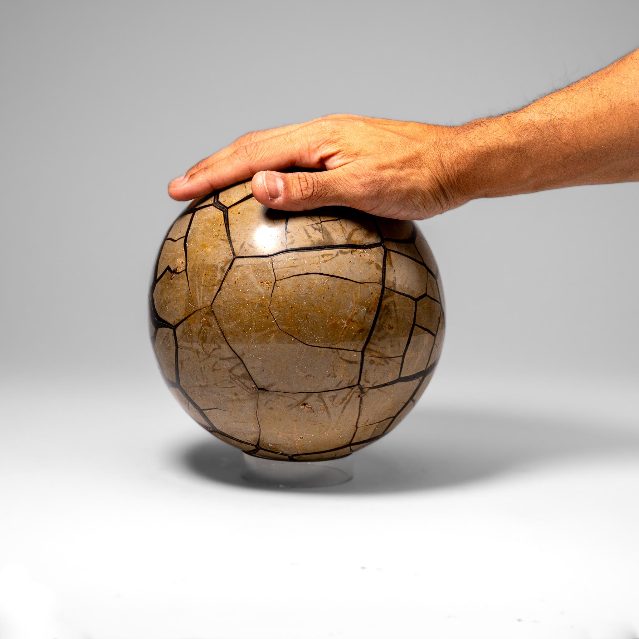 Malgascio Sfera di geode druzico settariano dal Madagascar (16,5 libbre) in vendita