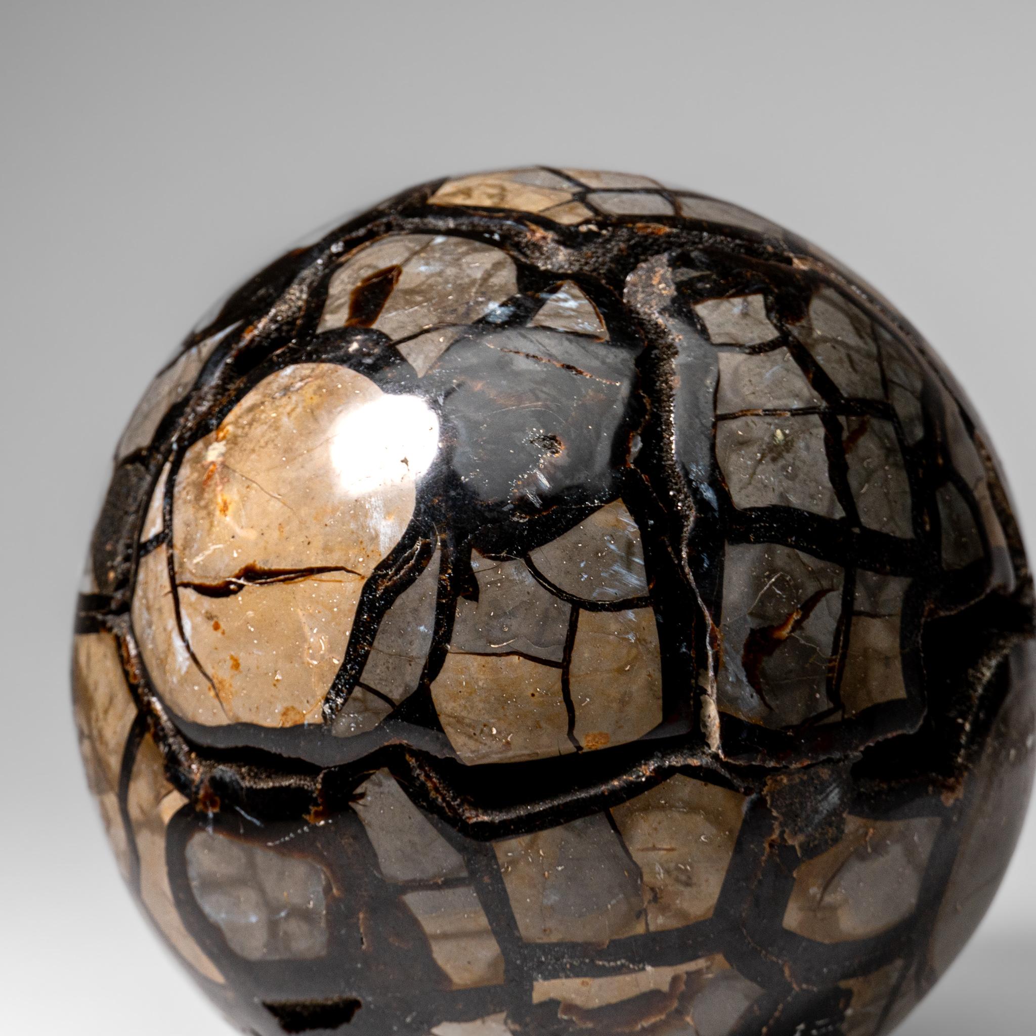 Septarian Druzy Geode Sphere from Madagascar (24.5 lbs) For Sale 7
