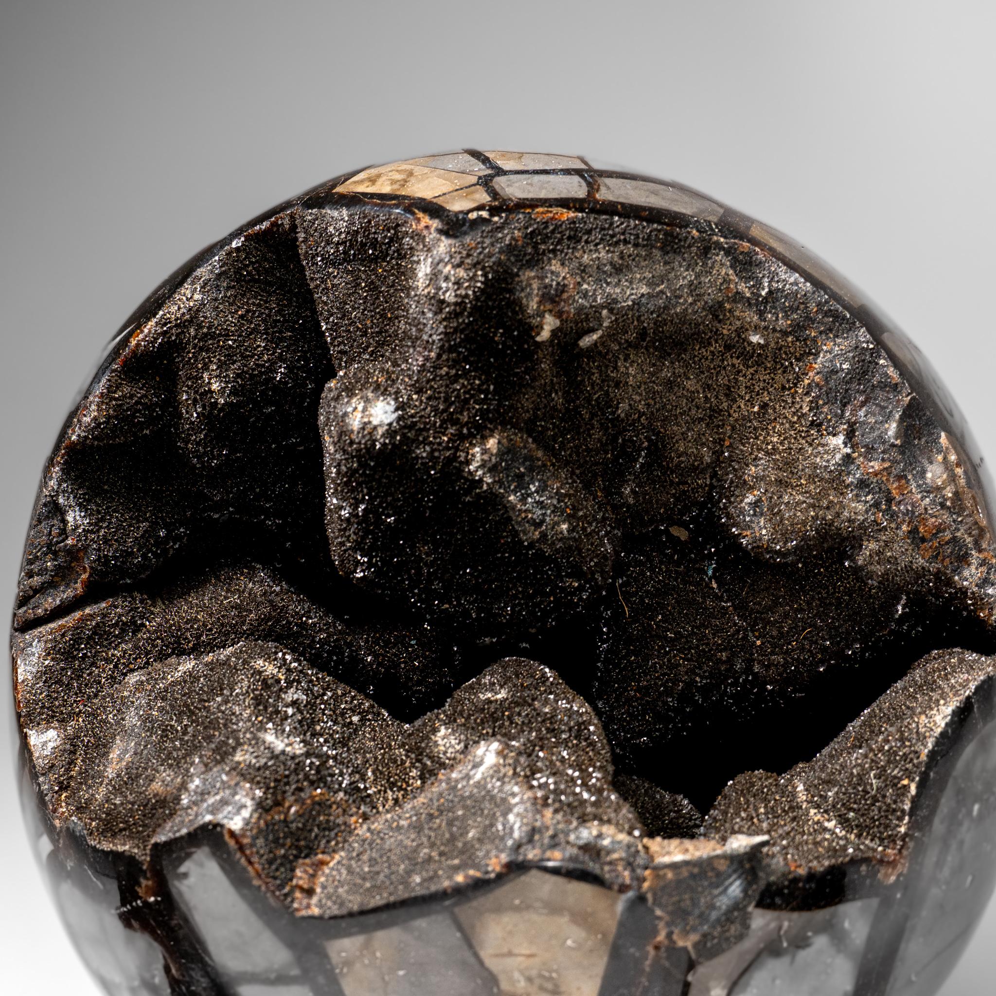 This premium Septarian geode sphere features a stunning exposed area adorned with glittering druzy quartz crystals, while its reverse side is expertly hand polished to a glossy, reflective finish. Known for its soothing and supportive energy,