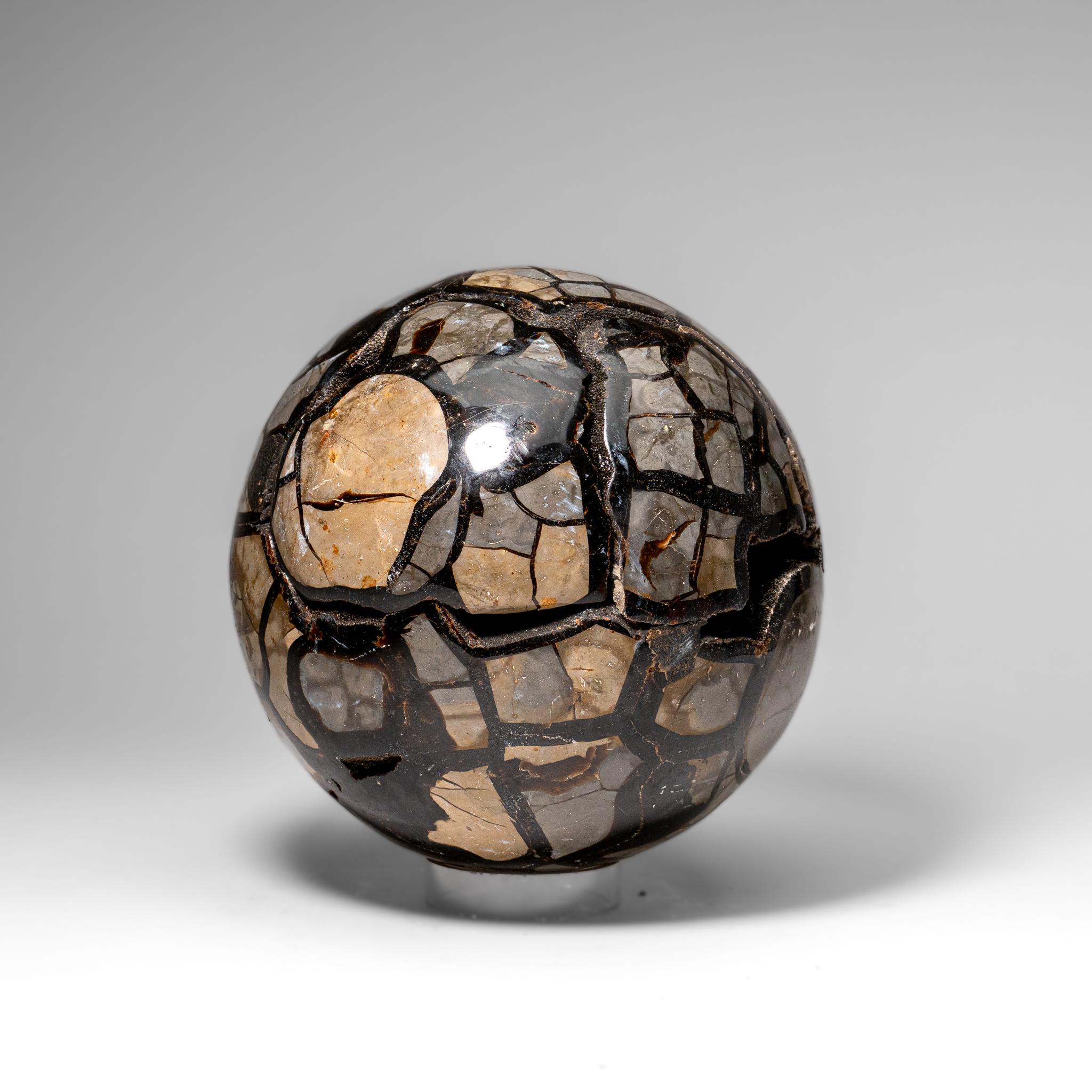 Contemporary Septarian Druzy Geode Sphere from Madagascar (24.5 lbs) For Sale