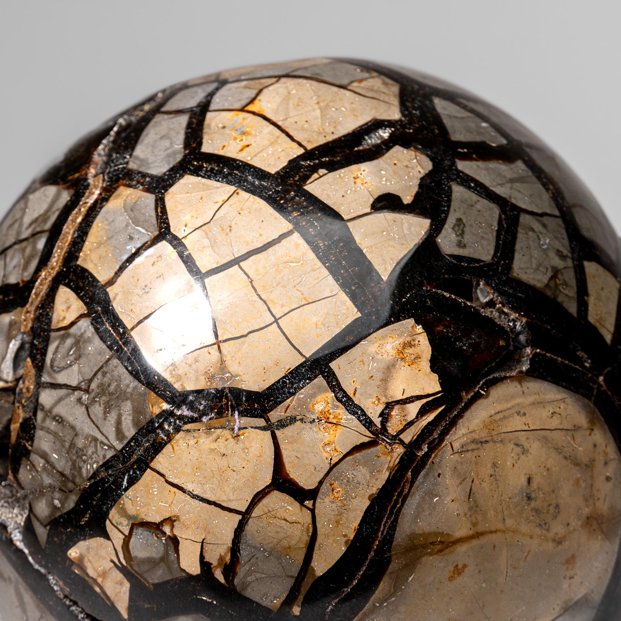 Other Septarian Druzy Geode Sphere from Madagascar (24.5 lbs) For Sale