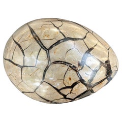 Septarian "Egg" Geode from the Cretaceous Period