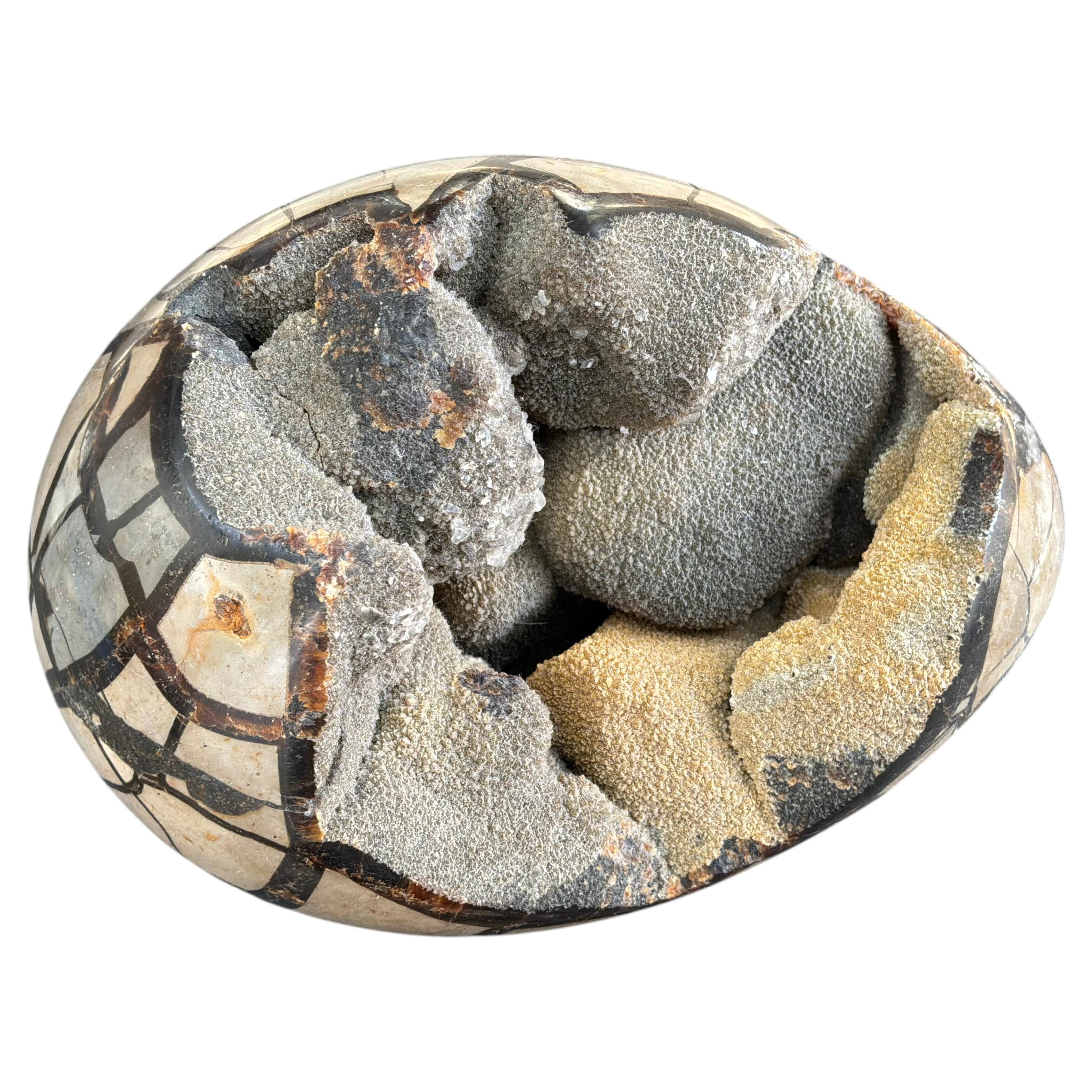 Septarian "Egg" Geode from the Cretaceous Period For Sale