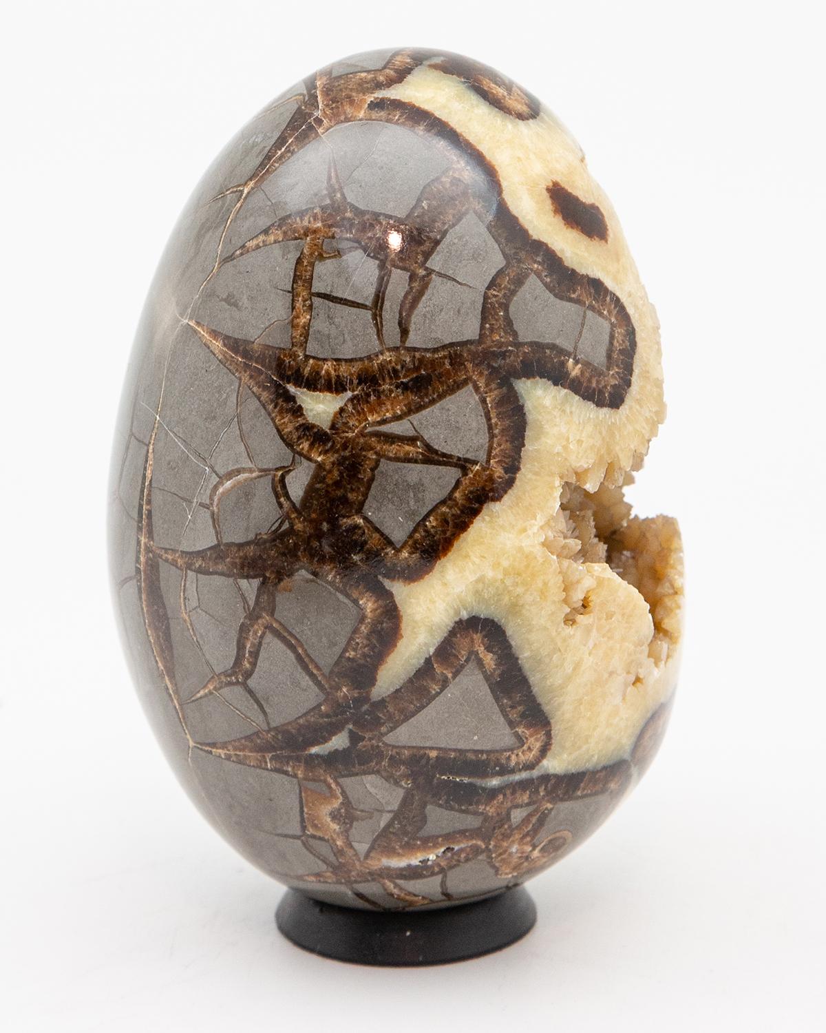 Septarian Geode egg. Caramel, brown, grey, with stunning ochre crystals. Measures: 6