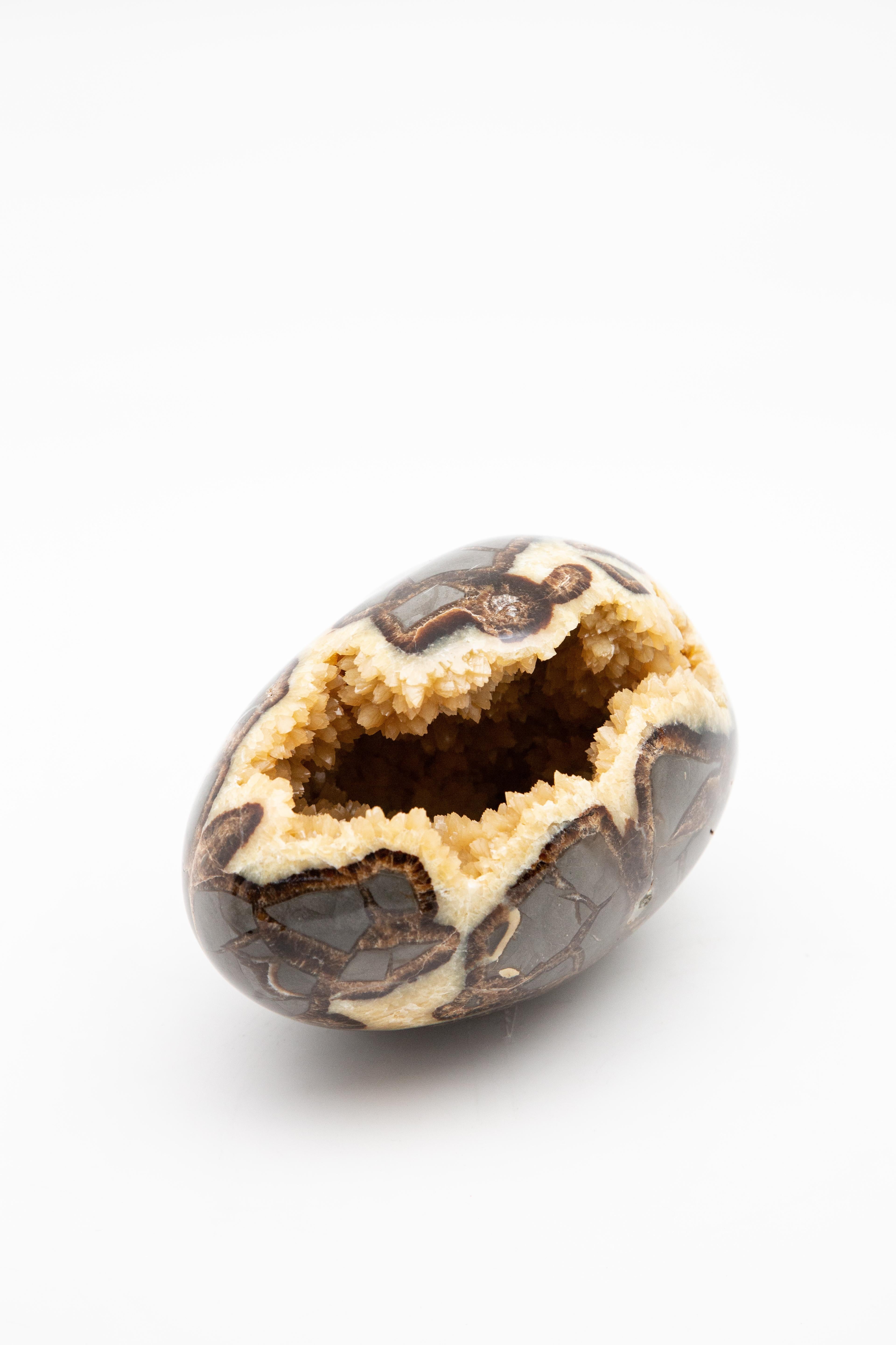 Septarian geode egg. Caramel, brown, grey, with stunning ochre crystals. Measures: 7