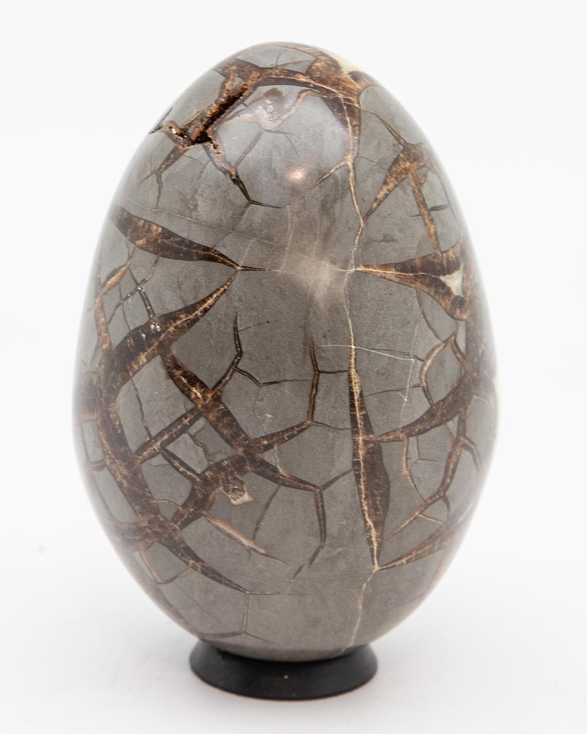 septarian egg