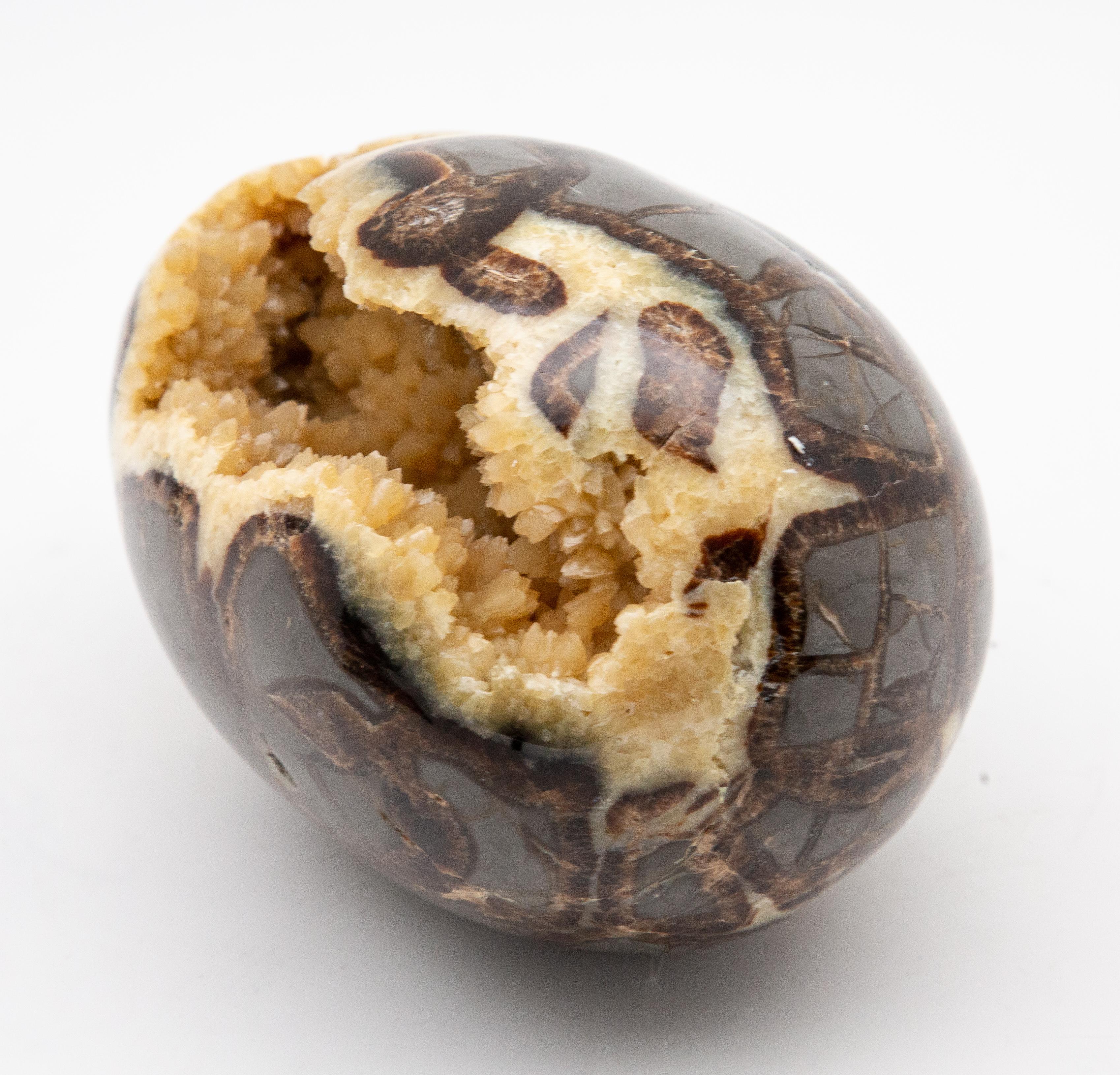 Septarian Geode Egg In New Condition In New York, NY
