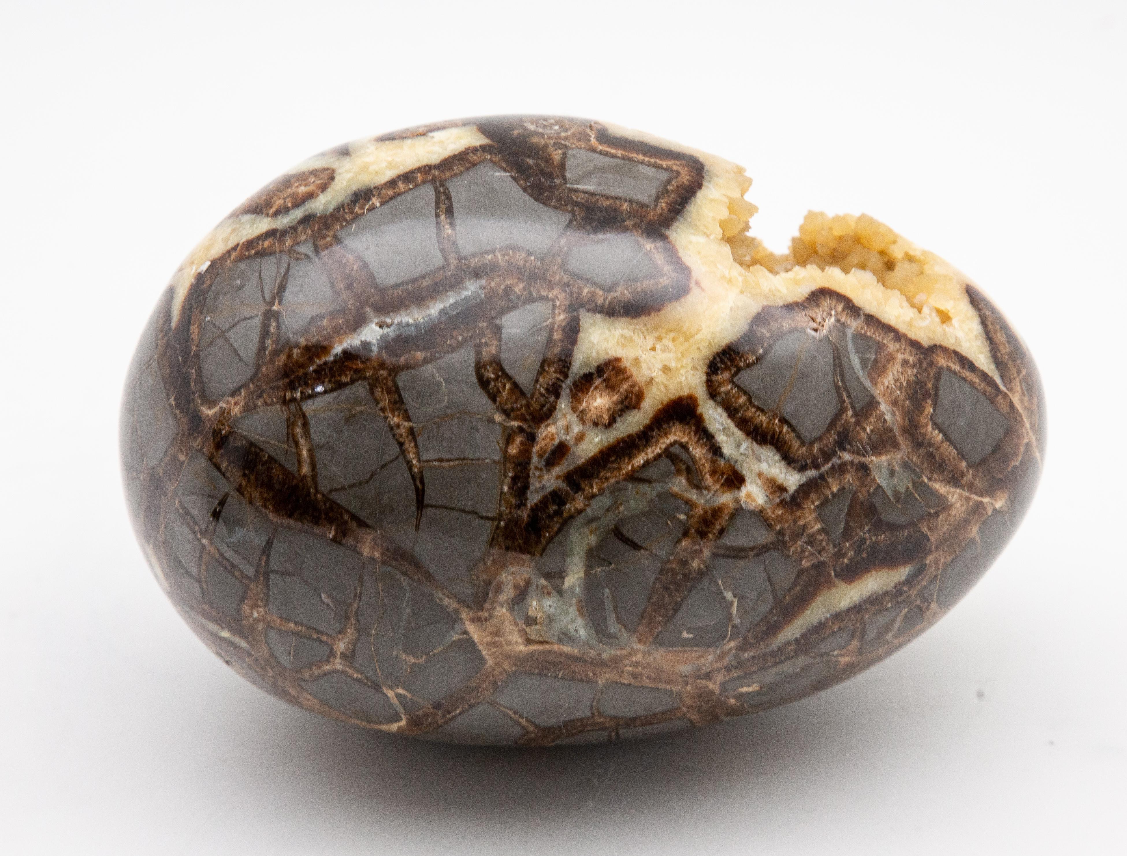 Contemporary Septarian Geode Egg