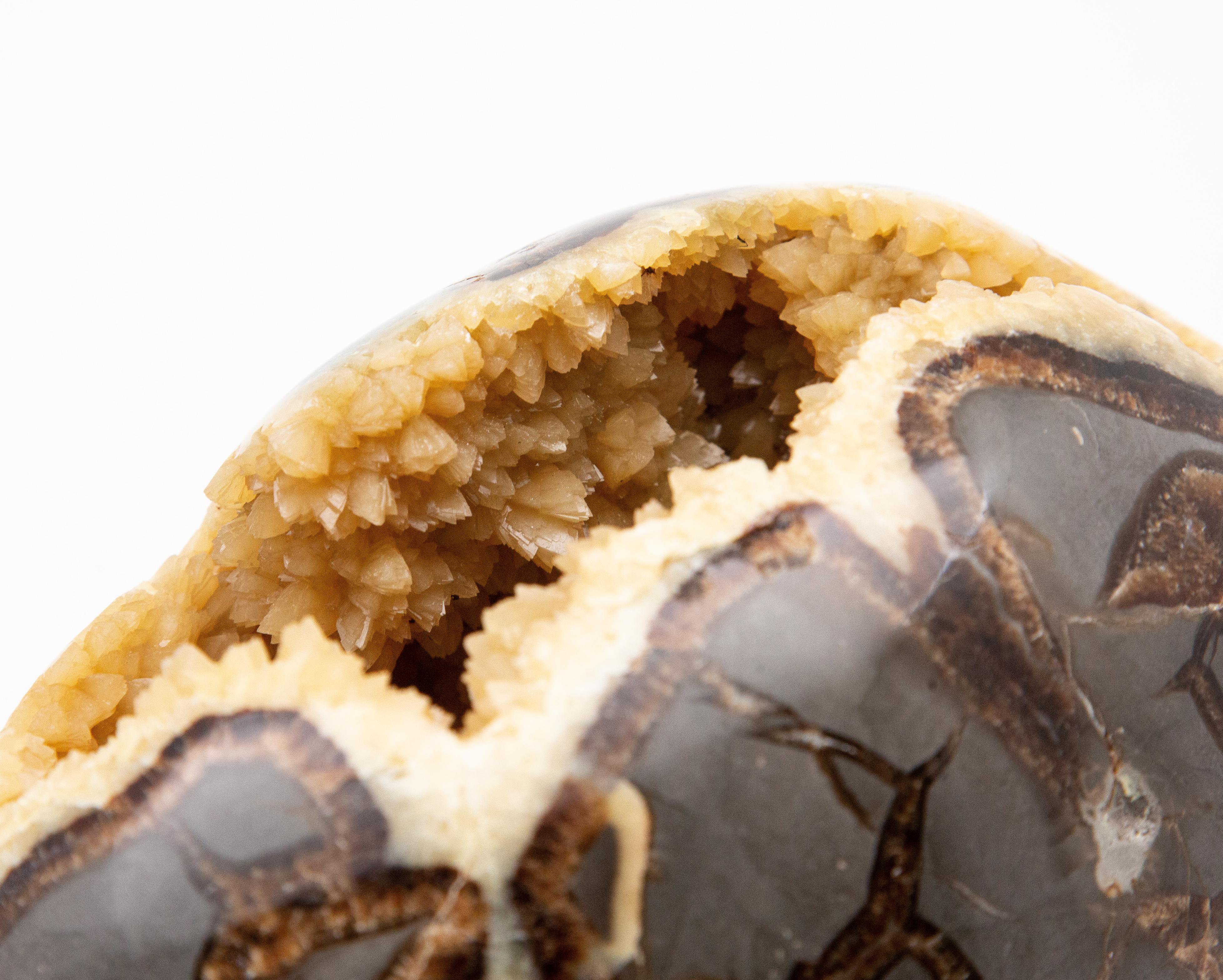 Precious Stone Septarian Geode Egg