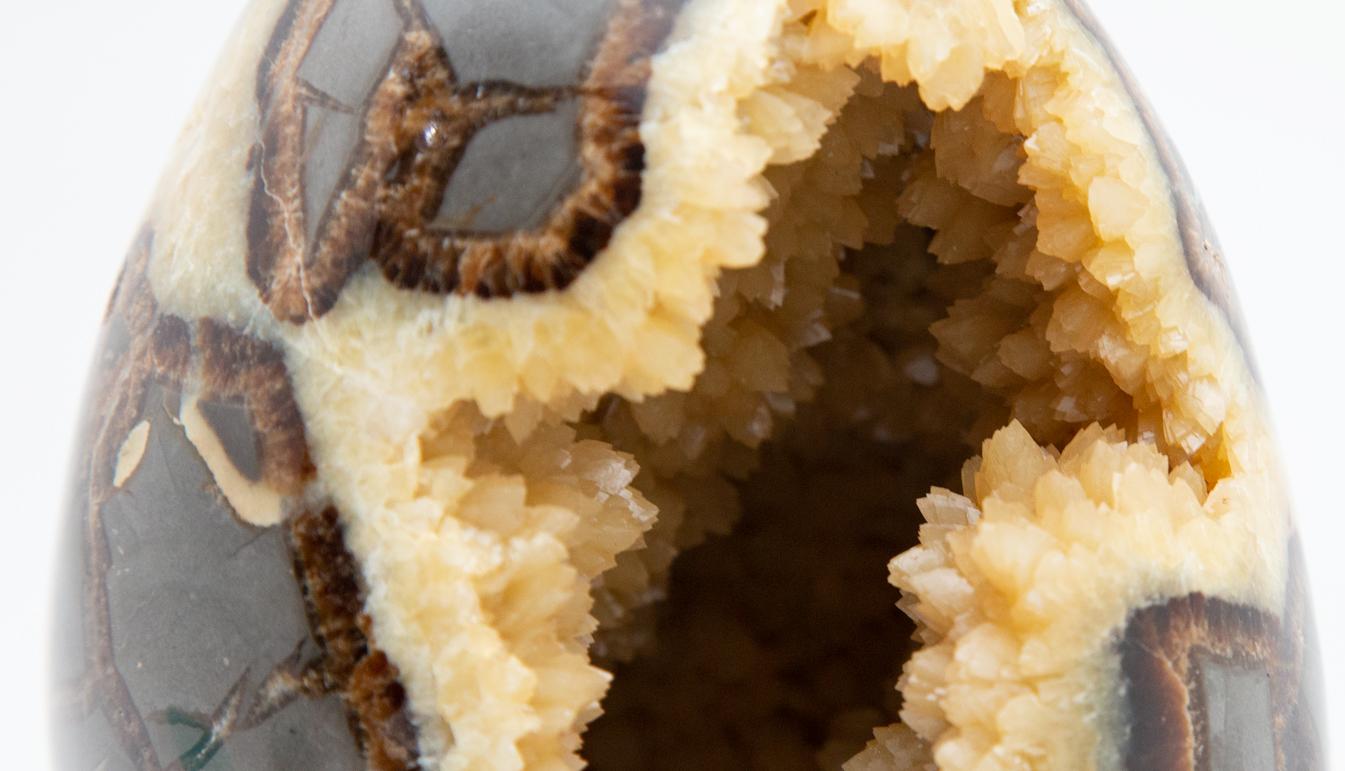Septarian Geode Egg 1