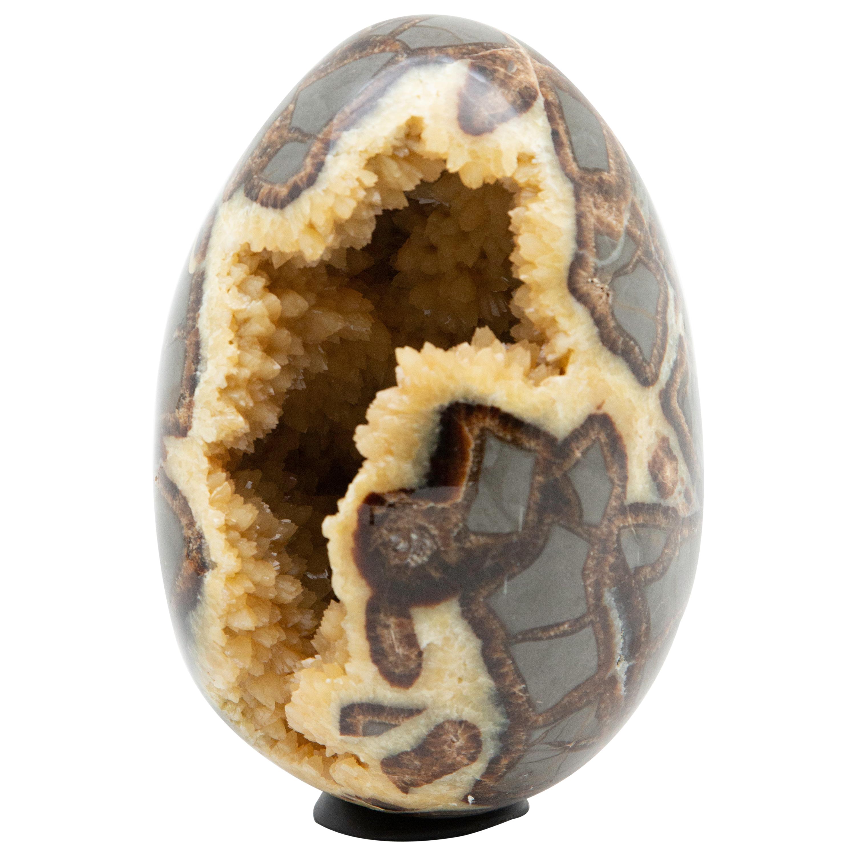Septarian Geode Egg