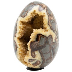 Septarian Geode Egg