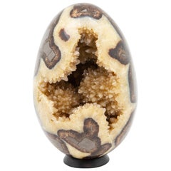 Septarian Geode Egg