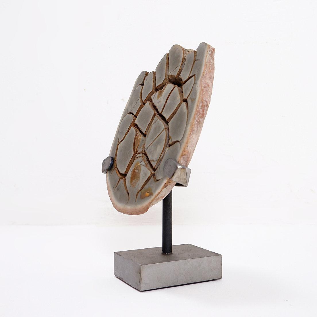 Septarisches Knötchen Zoll auf Stand
Fossil - Mineral - Dekoration
Maße: 26x14cm H:38cm 
Prächtiger Querschnitt von Septarium-Knollen auf einem Metallständer. Septarienknollen sind versteinerte Schlammblasen, die etwa 50 bis 70 Millionen Jahre alt