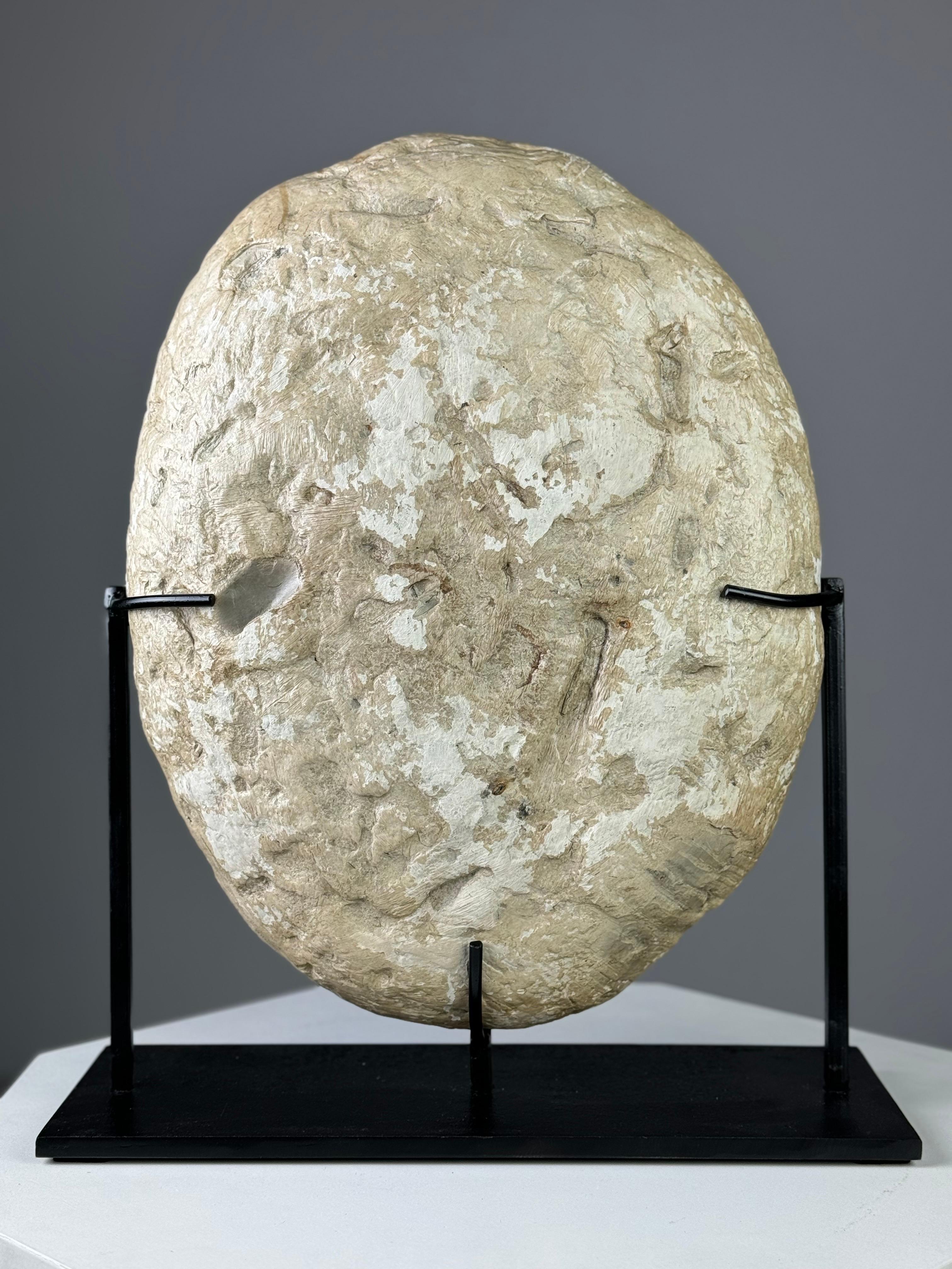Septarian Nodule on custom stand In Excellent Condition In MILL, NL