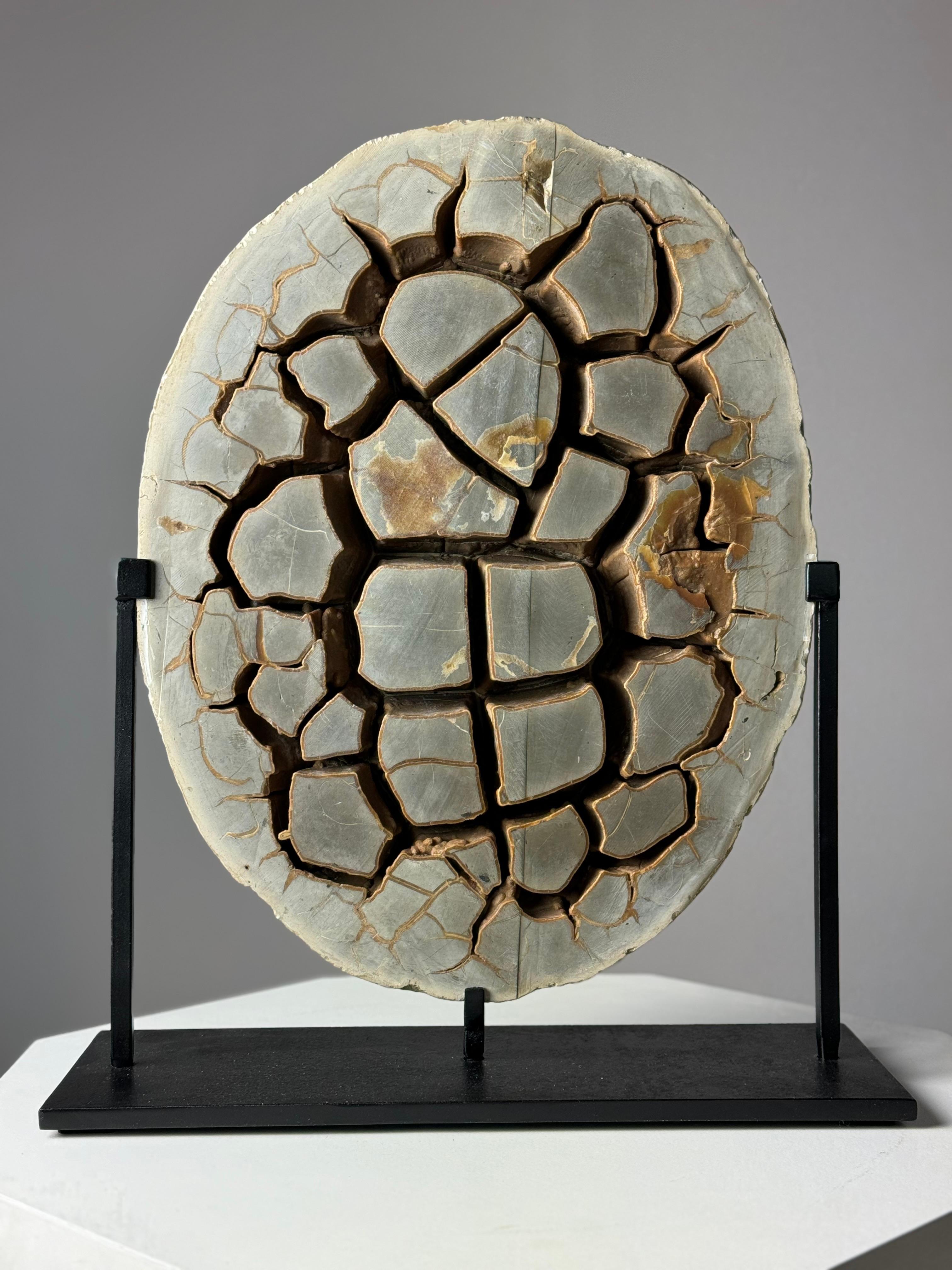 18th Century and Earlier Septarian Nodule on custom stand